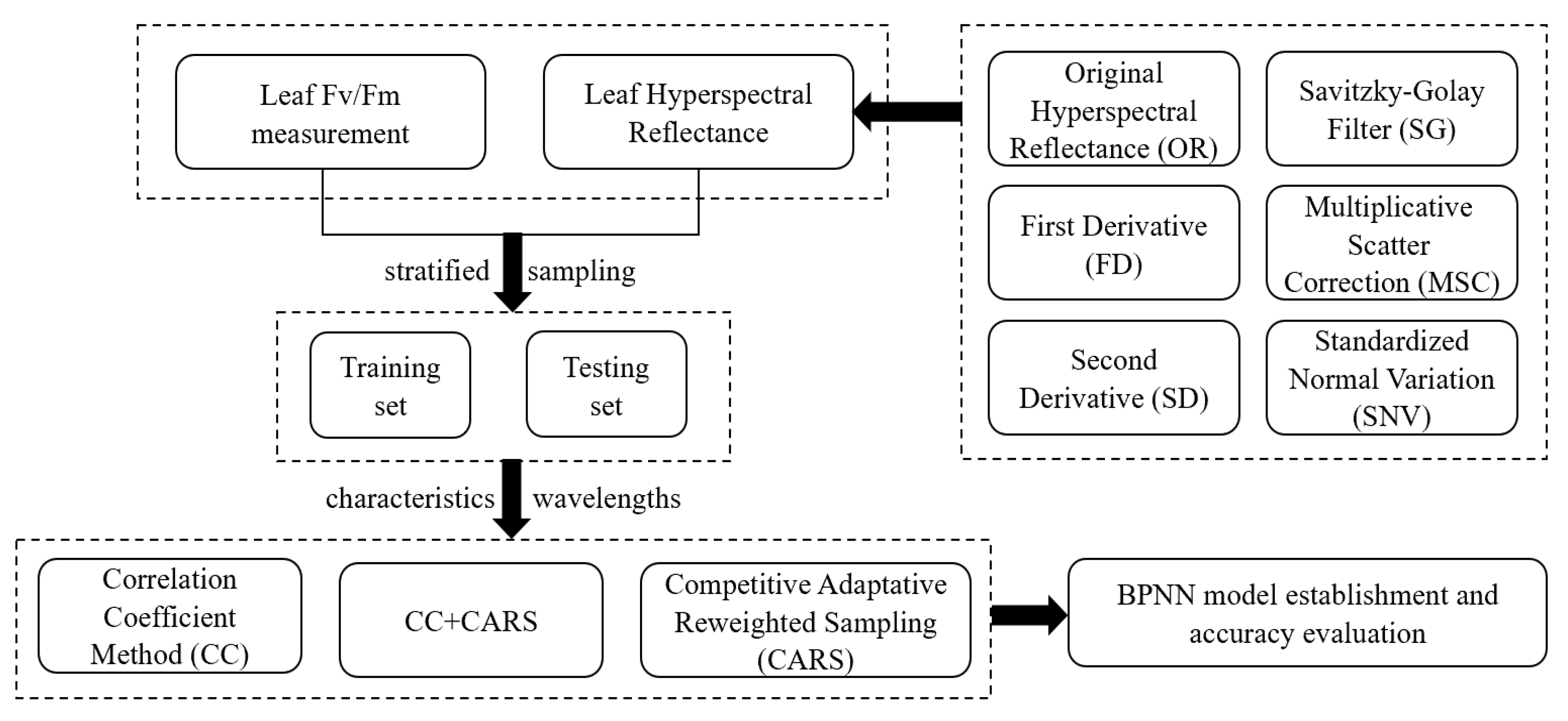 Agronomy 13 00337 g001 Agronomy 13 00337 g001