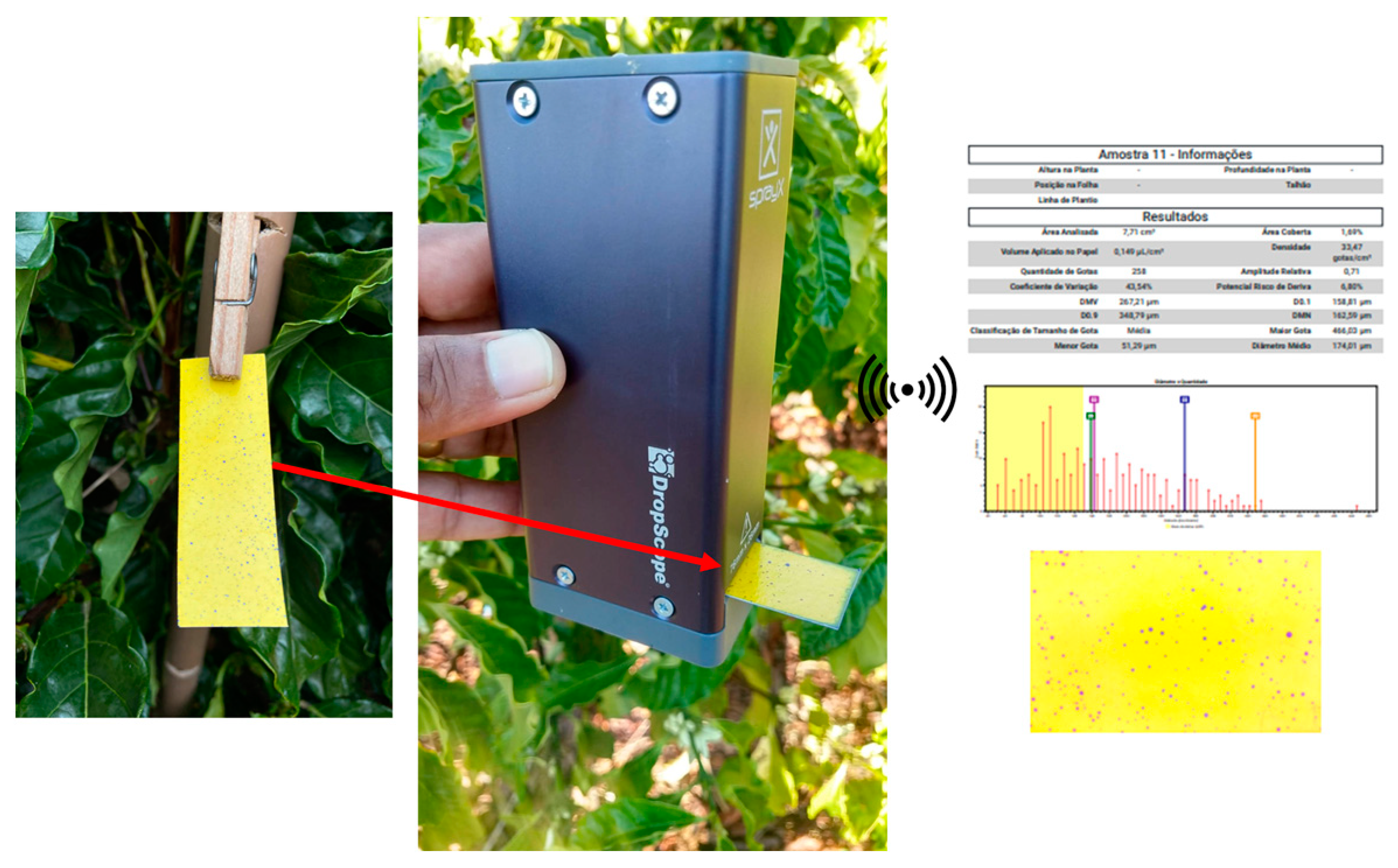 Agronomy 13 00340 g005 Agronomy 13 00340 g005
