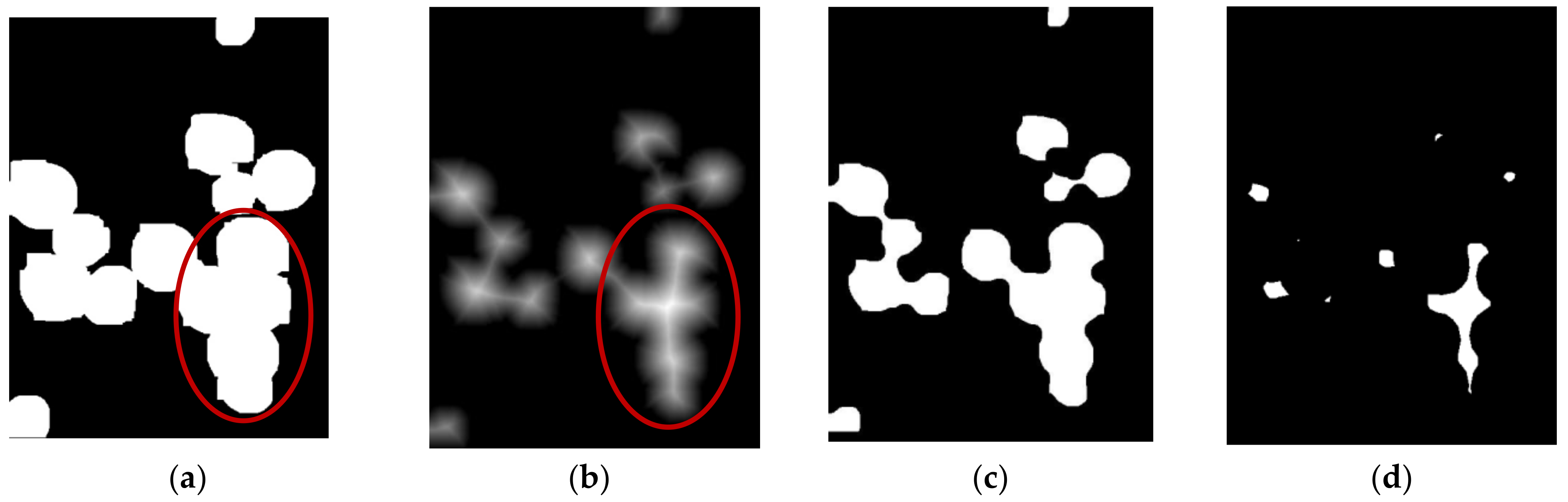 Agronomy 13 00347 g006