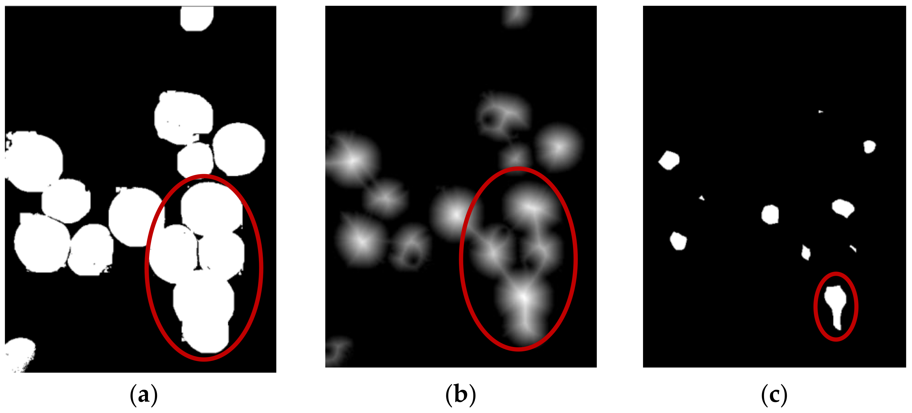 Agronomy 13 00347 g009