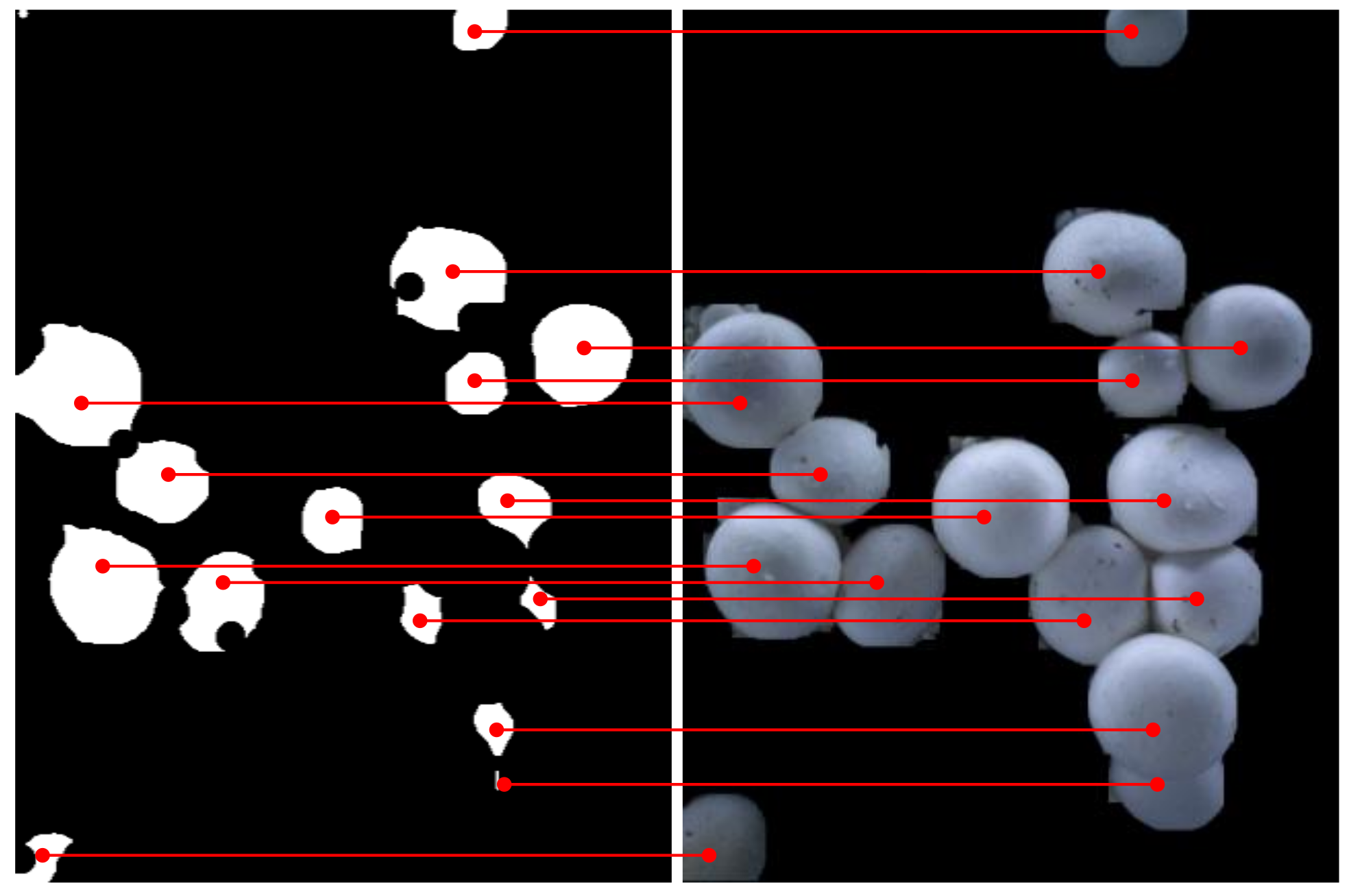 Agronomy 13 00347 g011