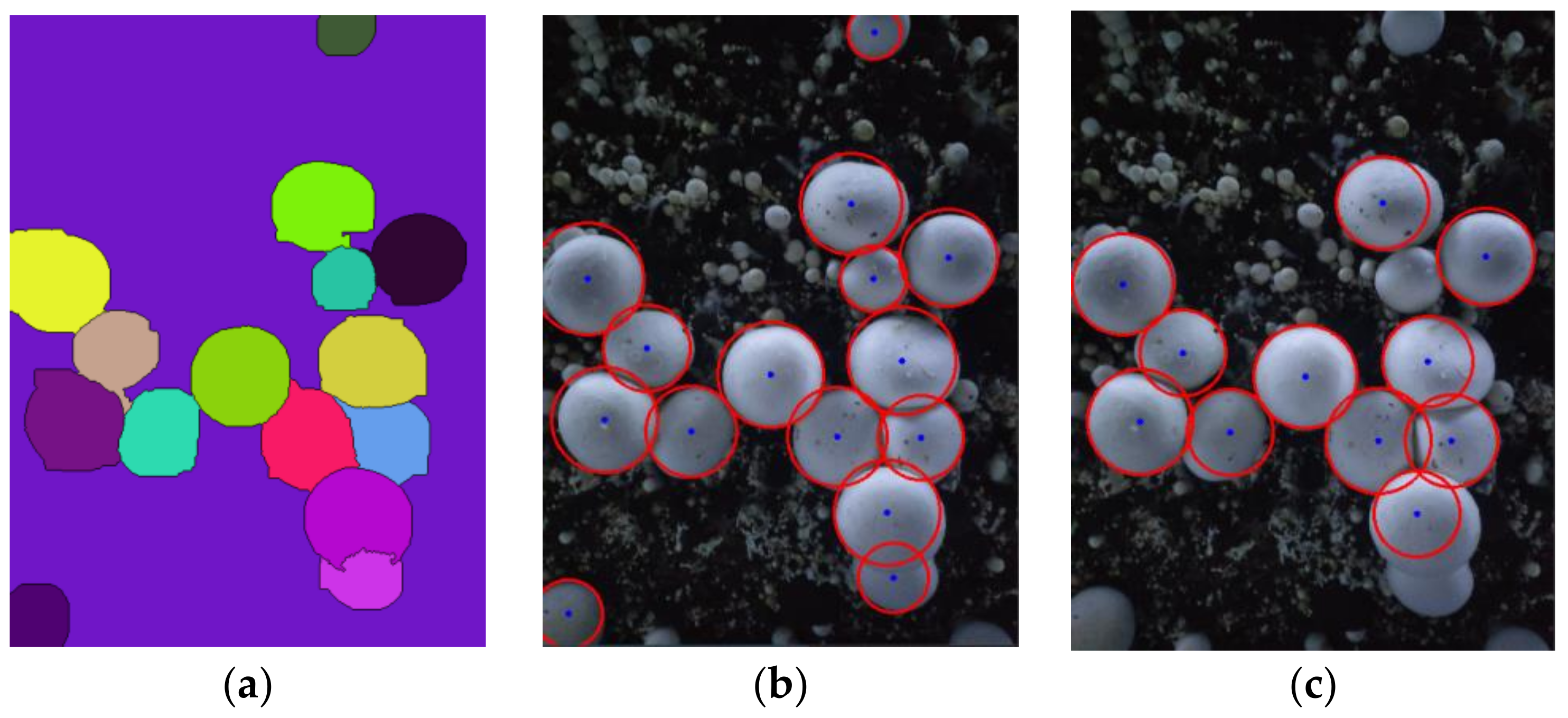 Agronomy 13 00347 g012