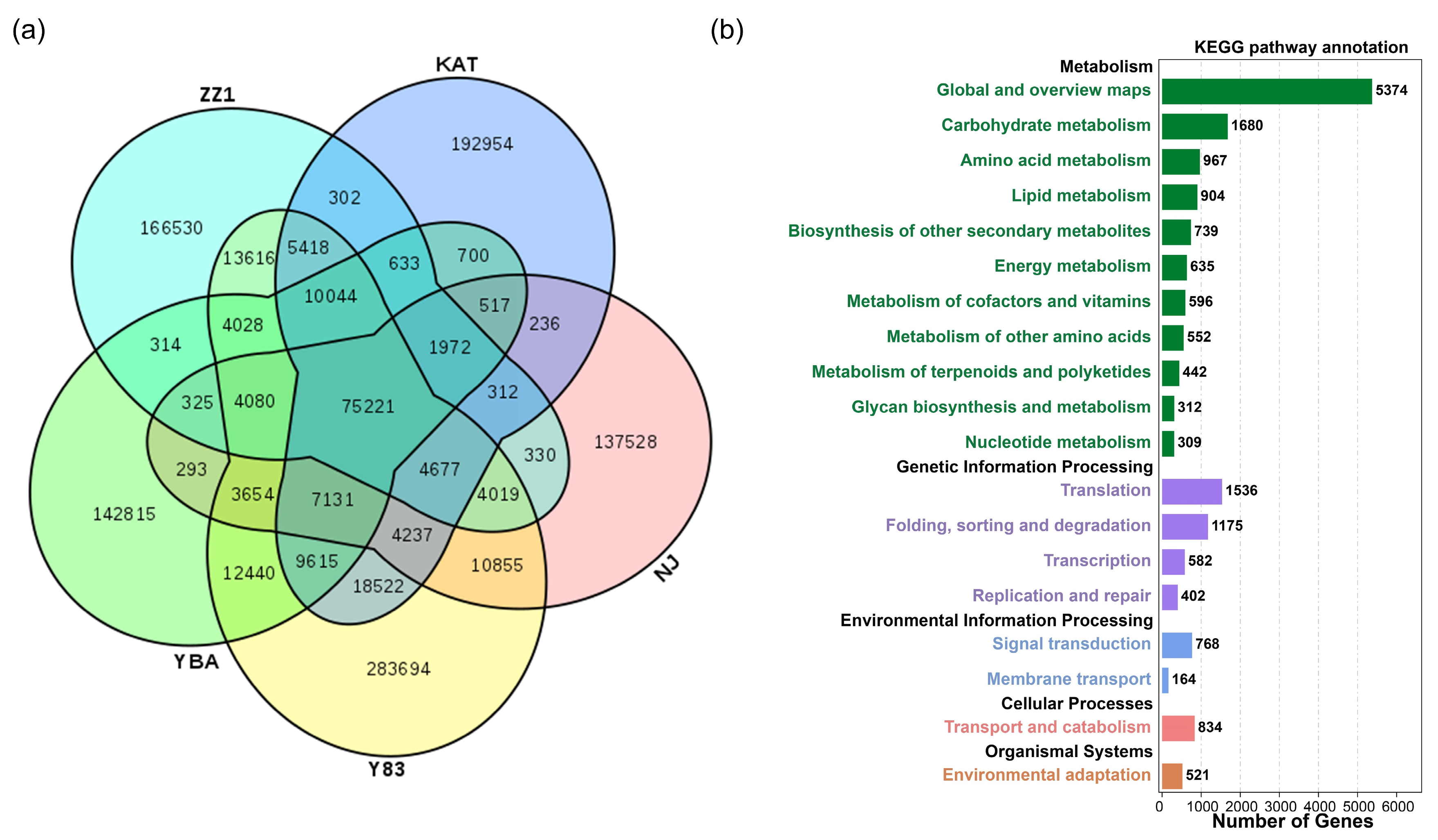 Agronomy 13 00348 g001