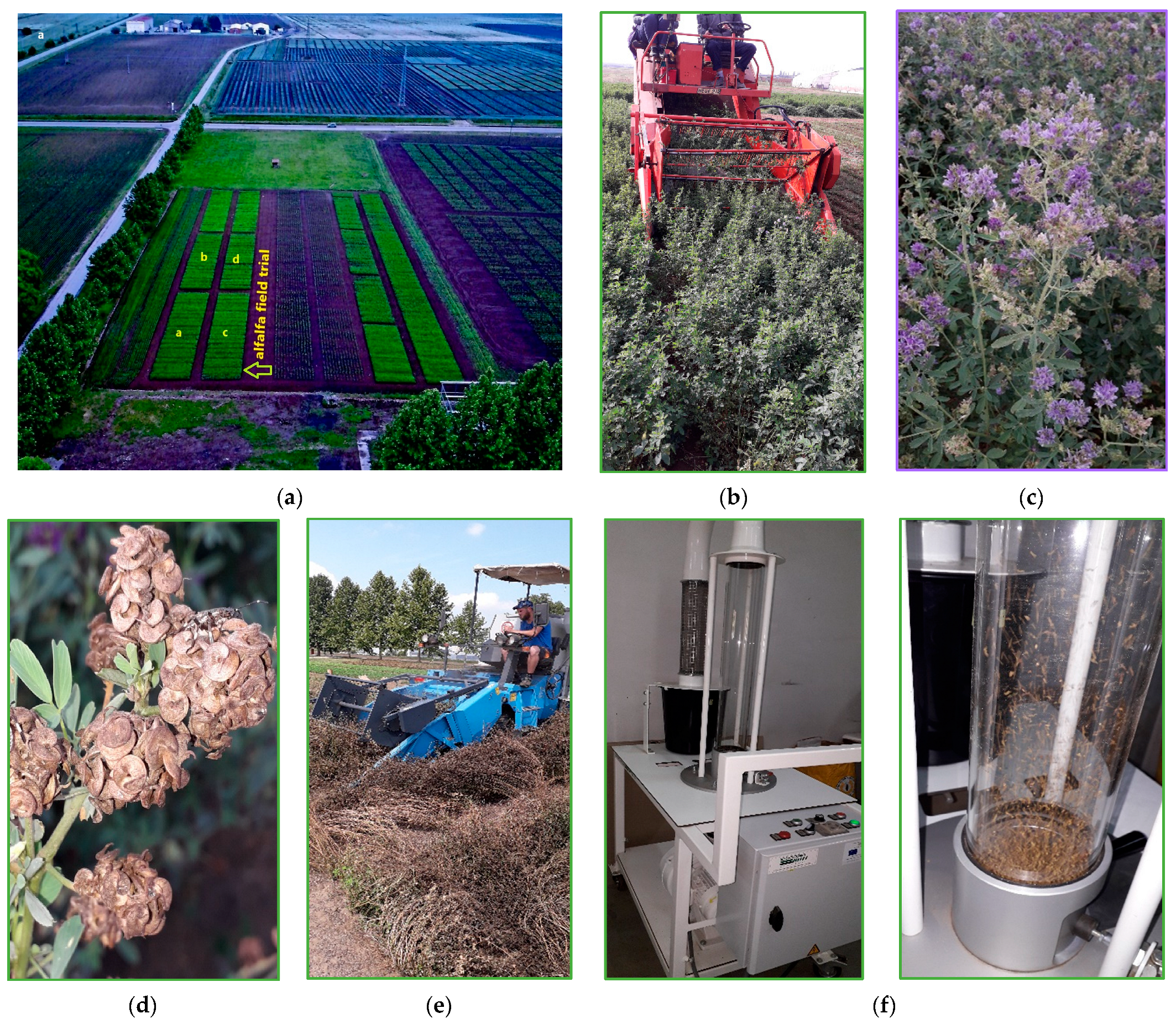 Agronomy 13 00349 g001