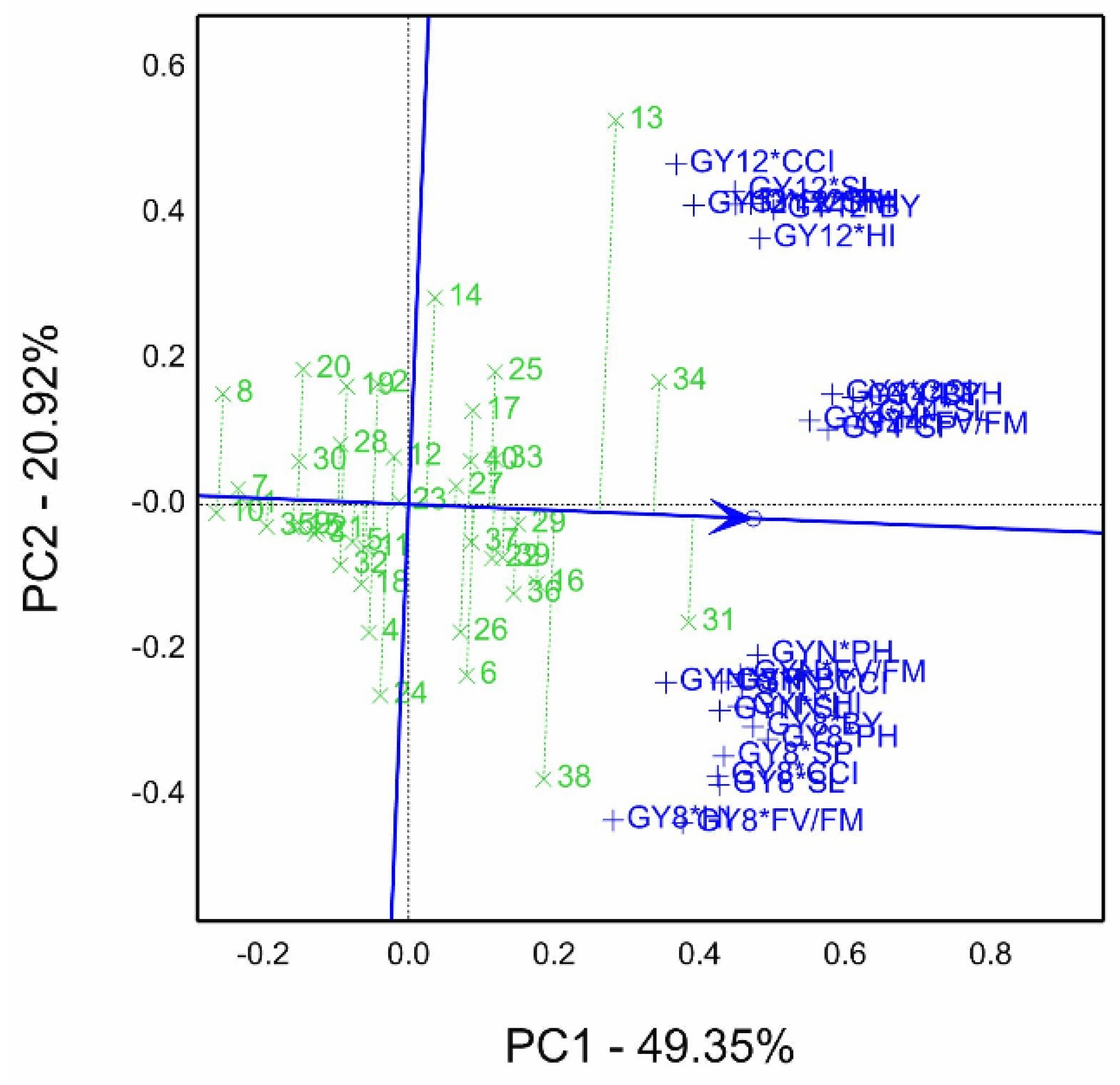 Agronomy 13 00353 g005