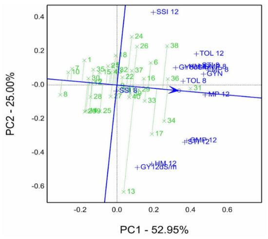 Agronomy 13 00353 g007