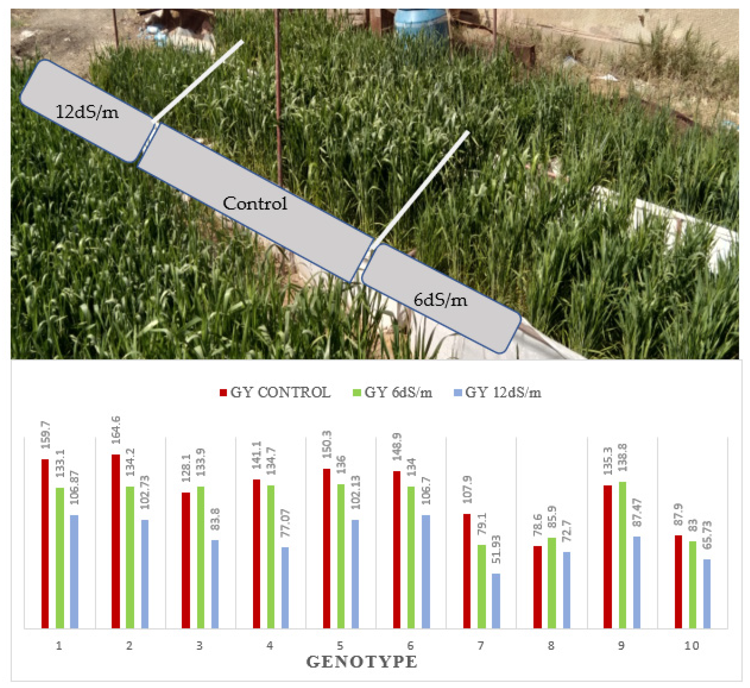 Agronomy 13 00353 g009