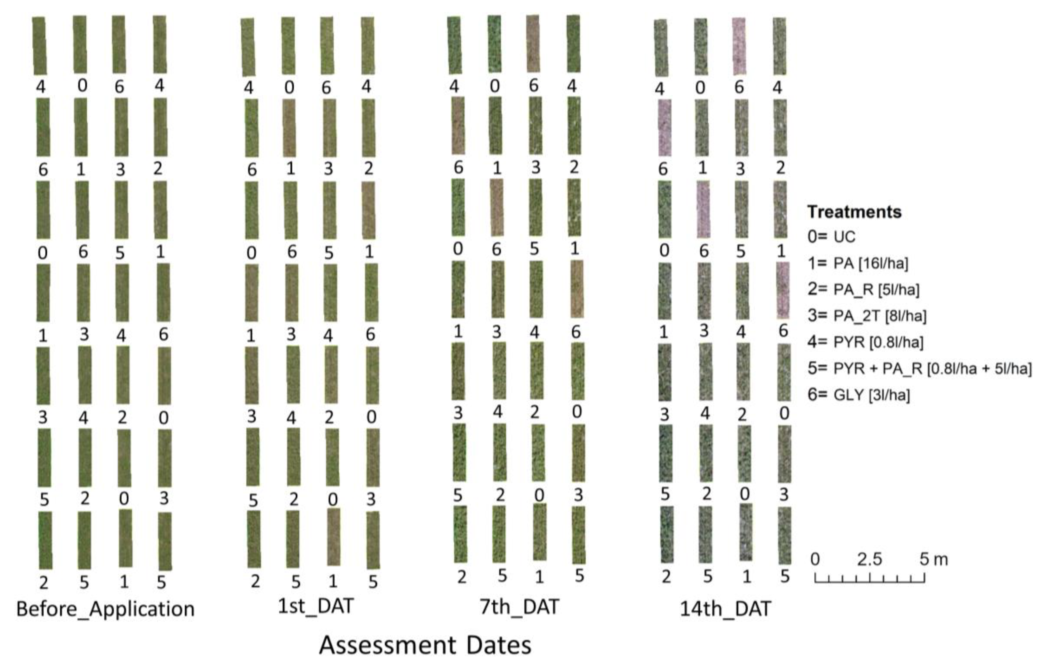 Agronomy 13 00354 g006