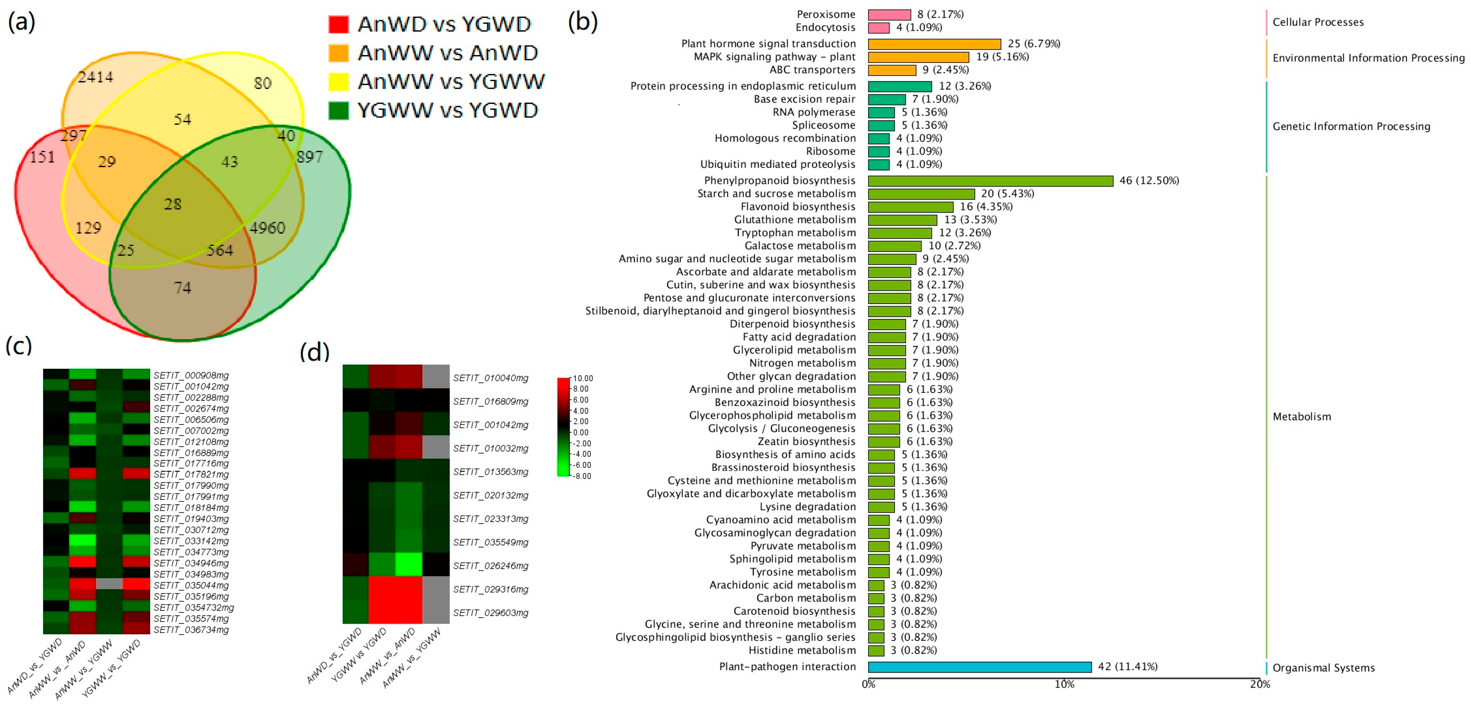 Agronomy 13 00359 g004 Agronomy 13 00359 g004