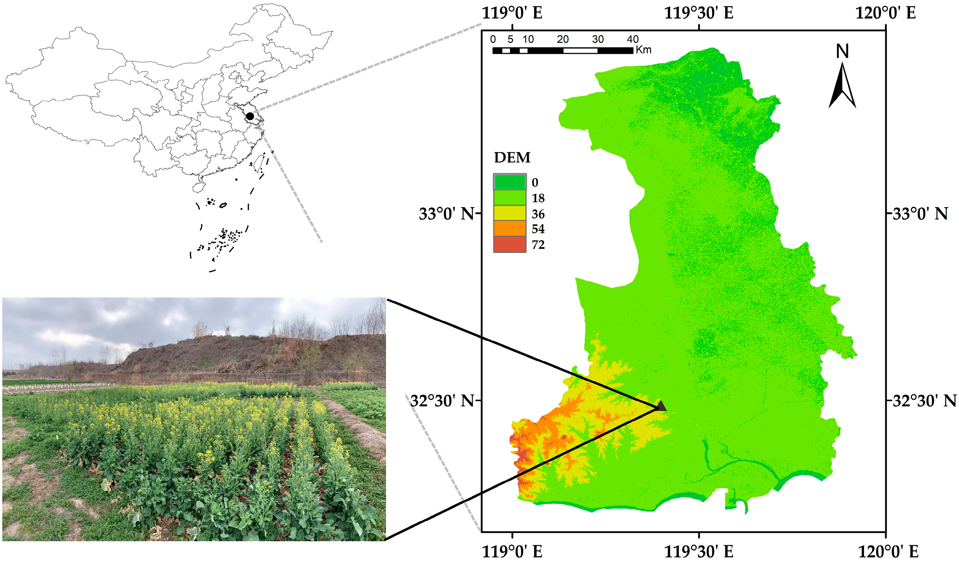Agronomy 13 00367 g001 Agronomy 13 00367 g001