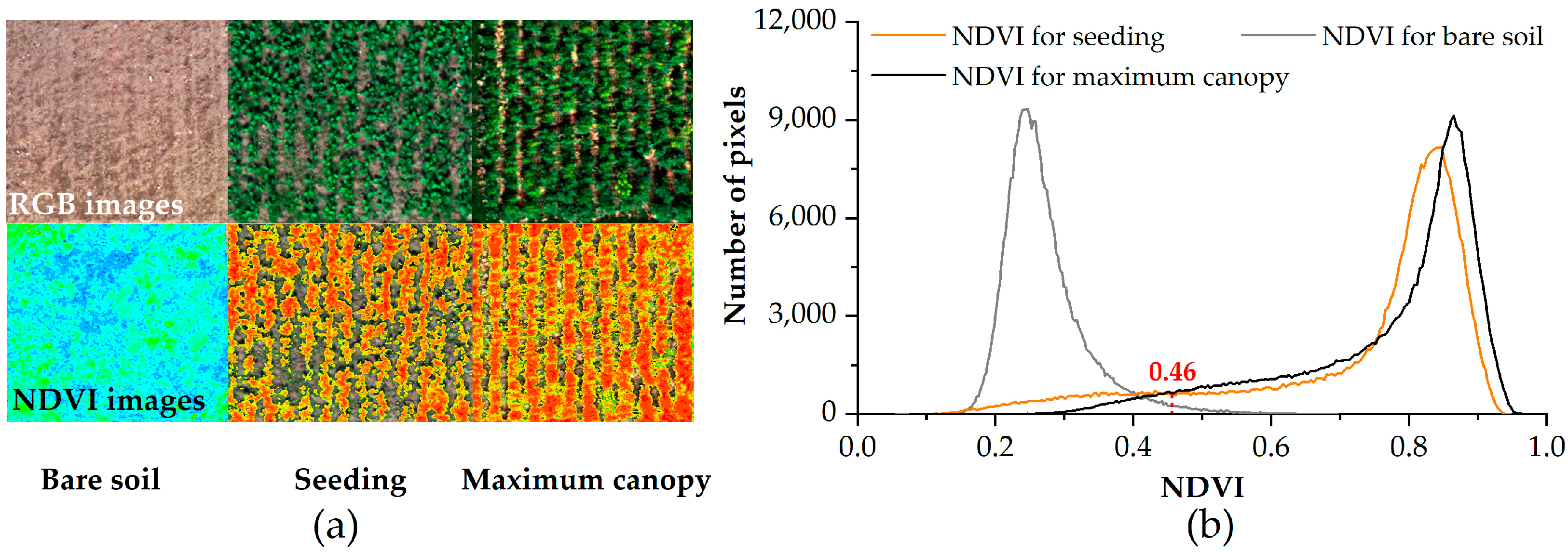Agronomy 13 00367 g002 Agronomy 13 00367 g002
