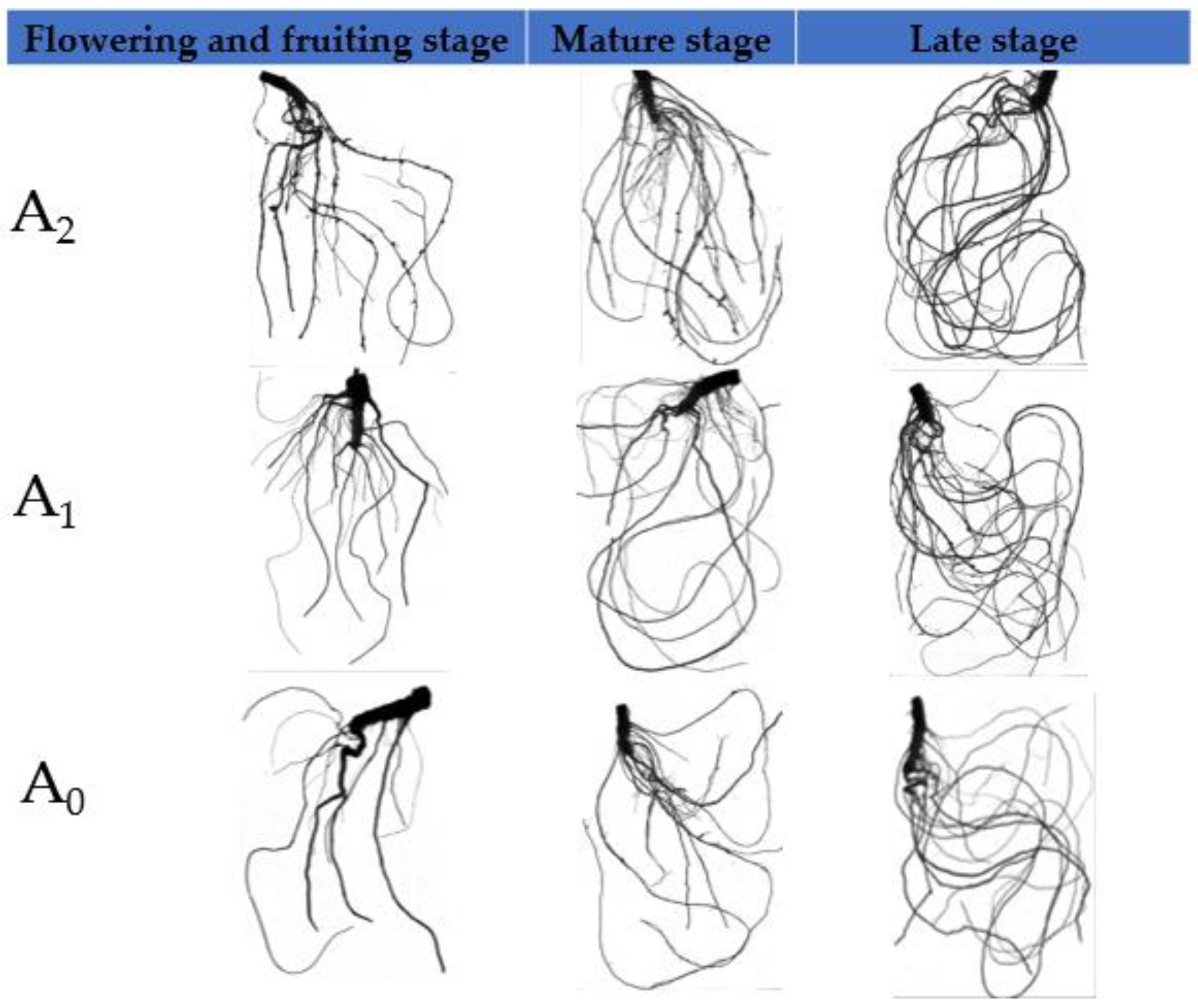 Agronomy 13 00369 g006