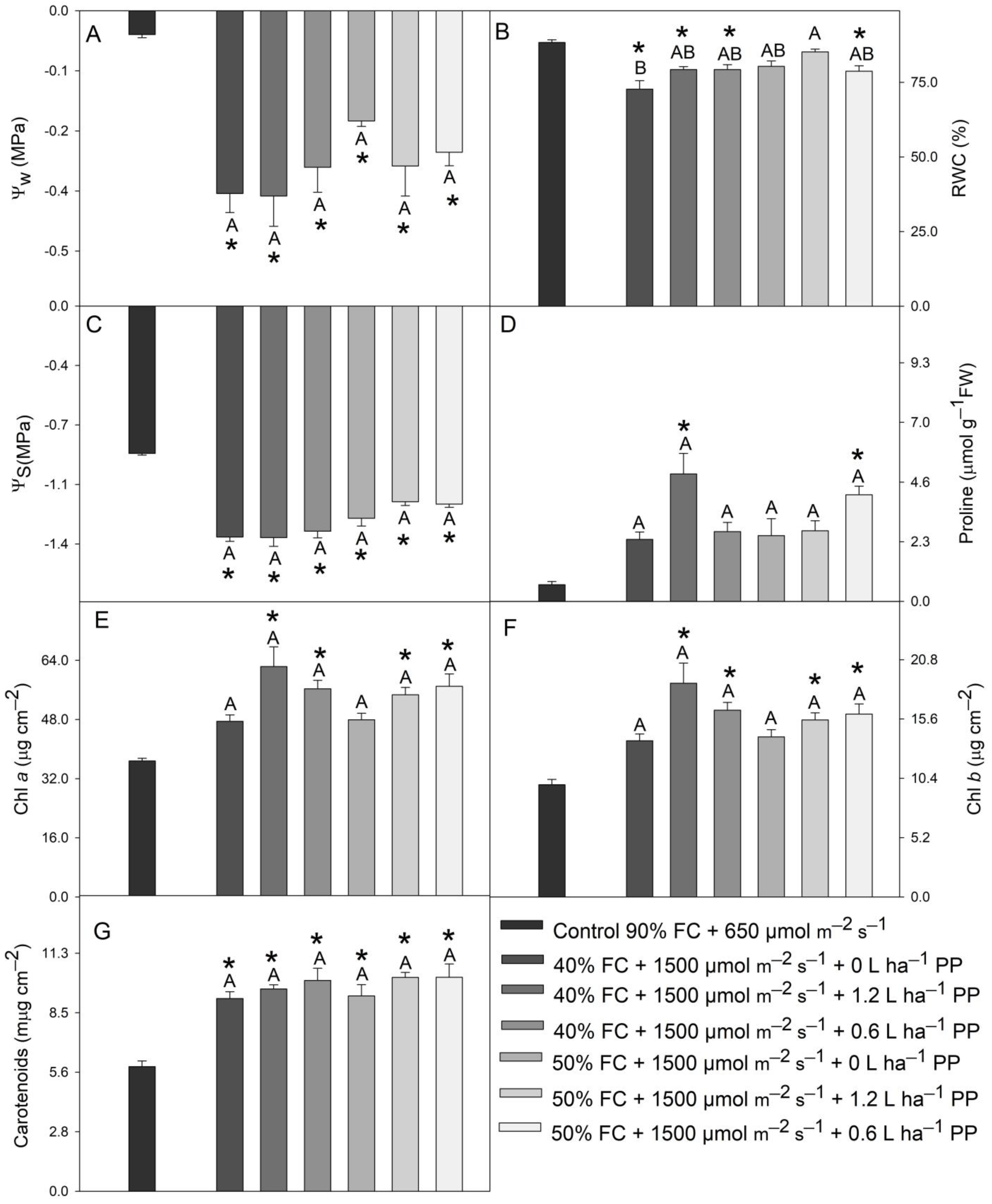 Agronomy 13 00382 g001