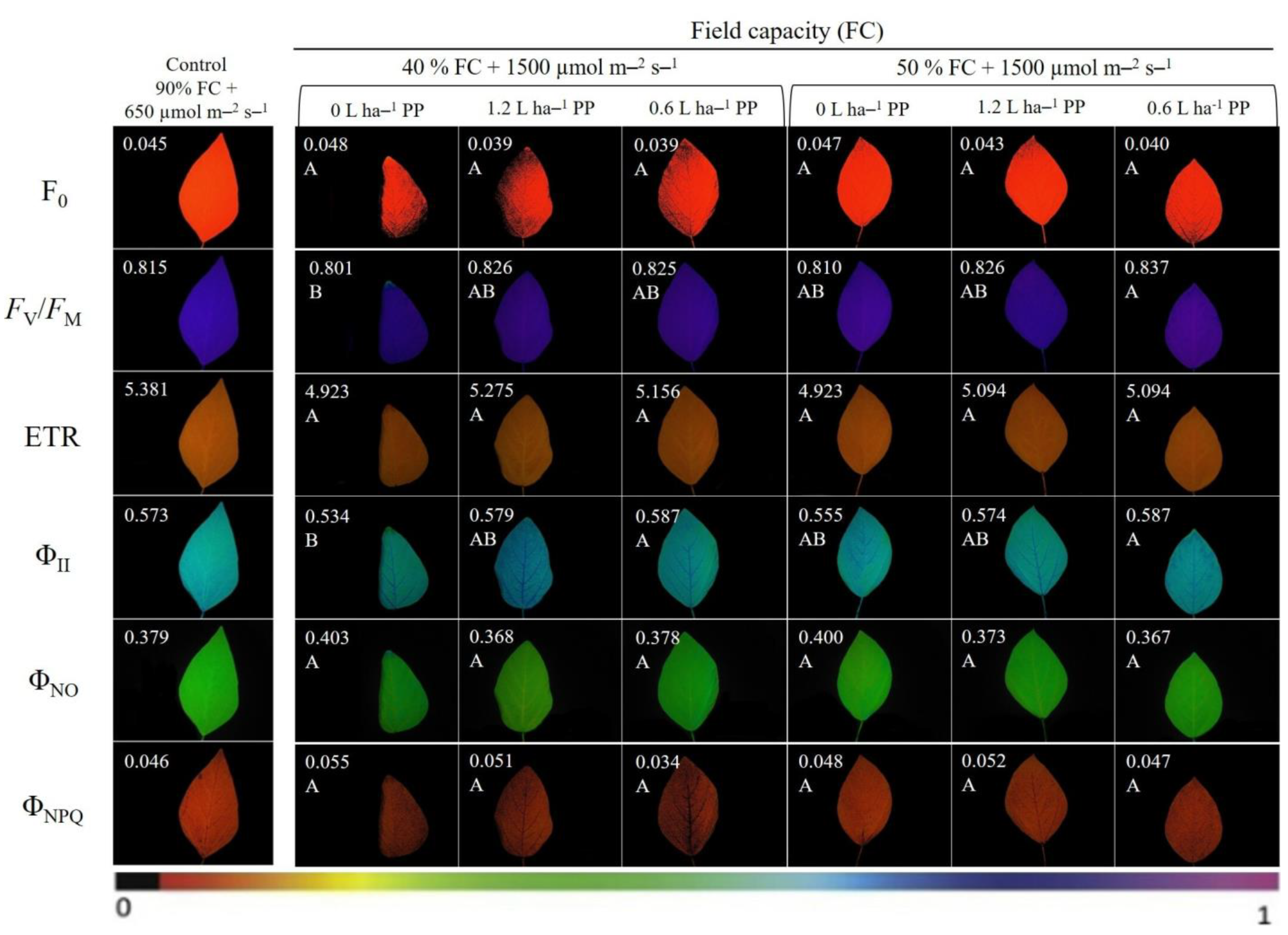 Agronomy 13 00382 g004