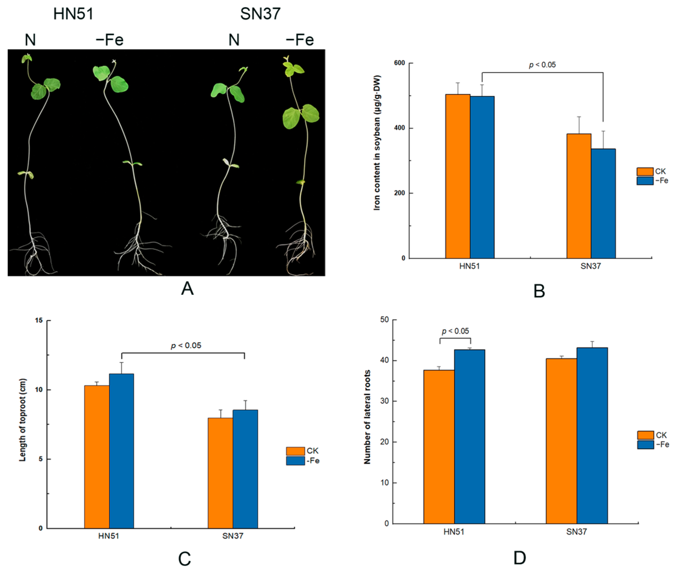 Agronomy 13 00384 g001