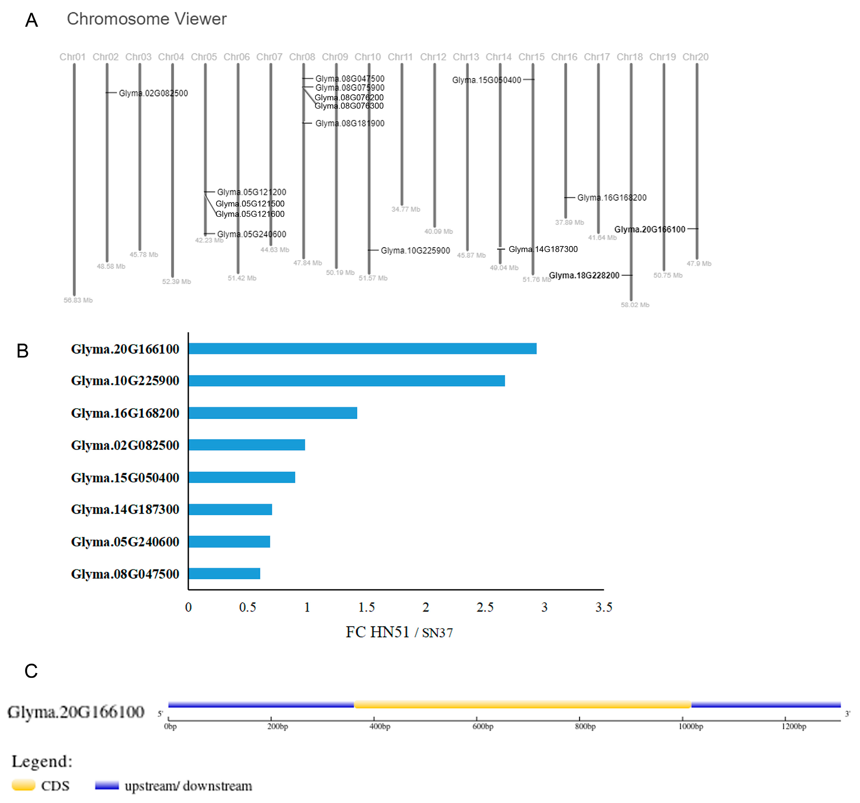 Agronomy 13 00384 g002