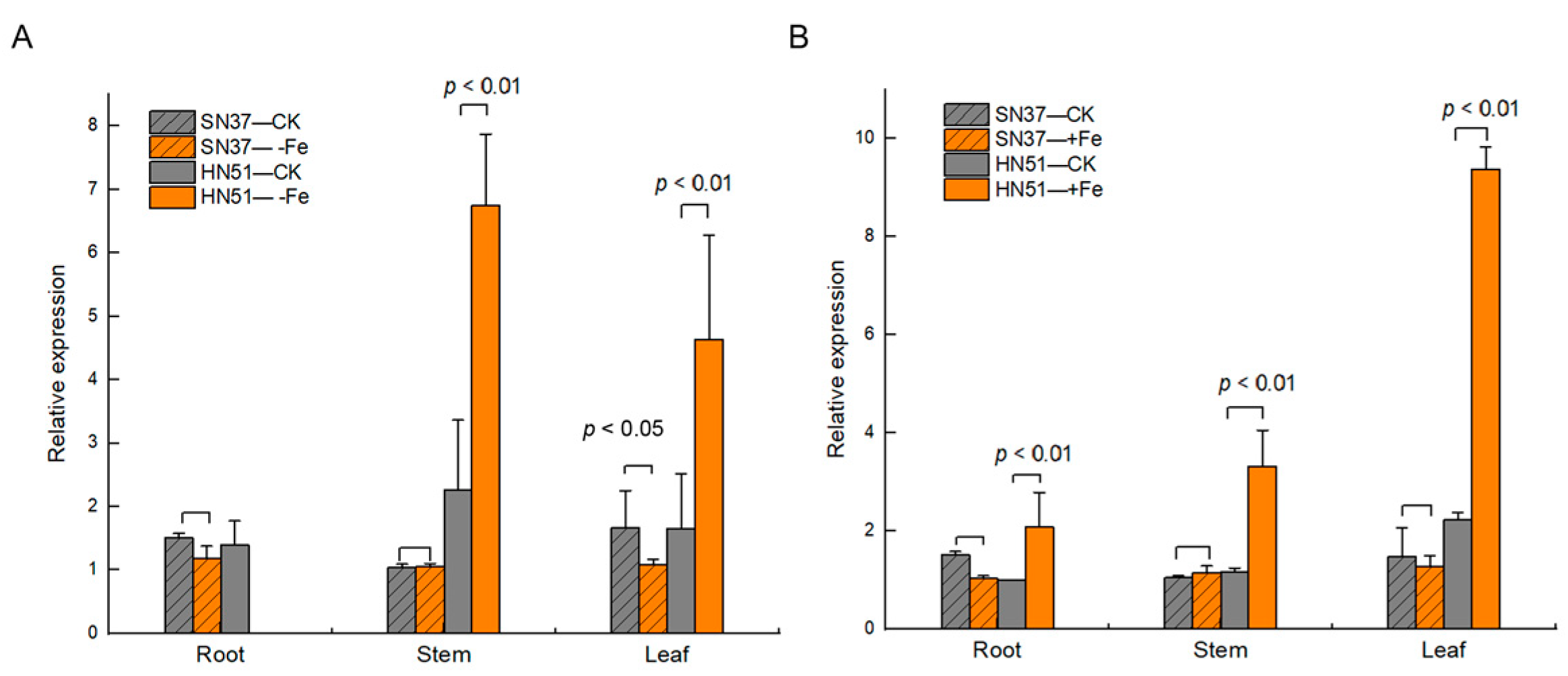 Agronomy 13 00384 g003