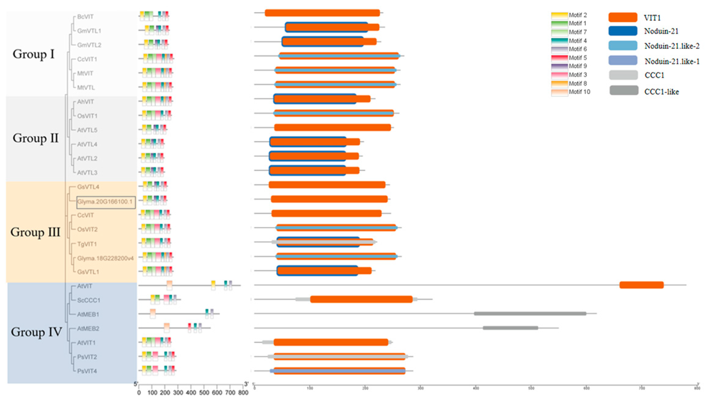 Agronomy 13 00384 g004