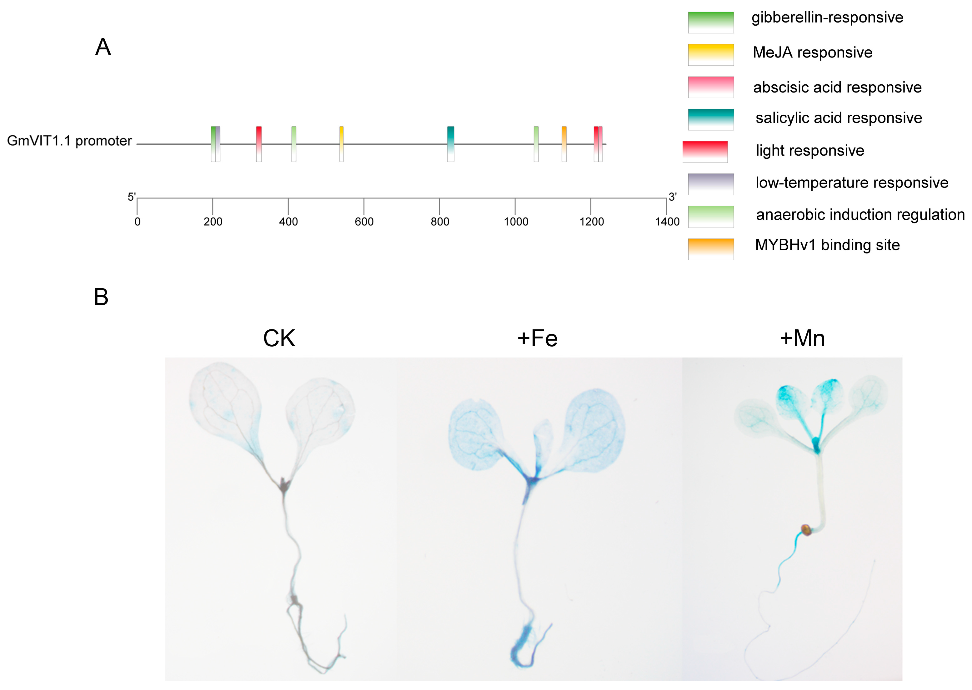 Agronomy 13 00384 g007