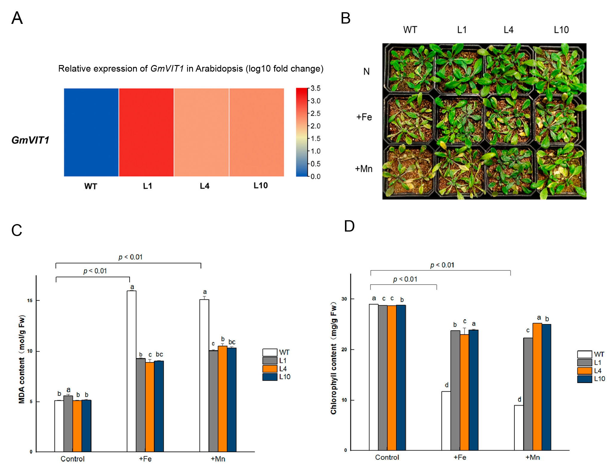 Agronomy 13 00384 g008