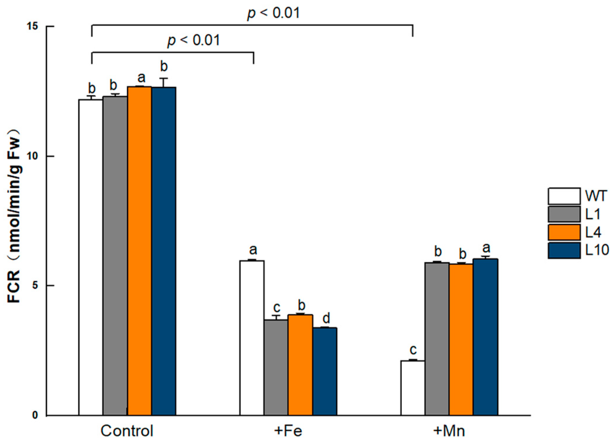 Agronomy 13 00384 g010