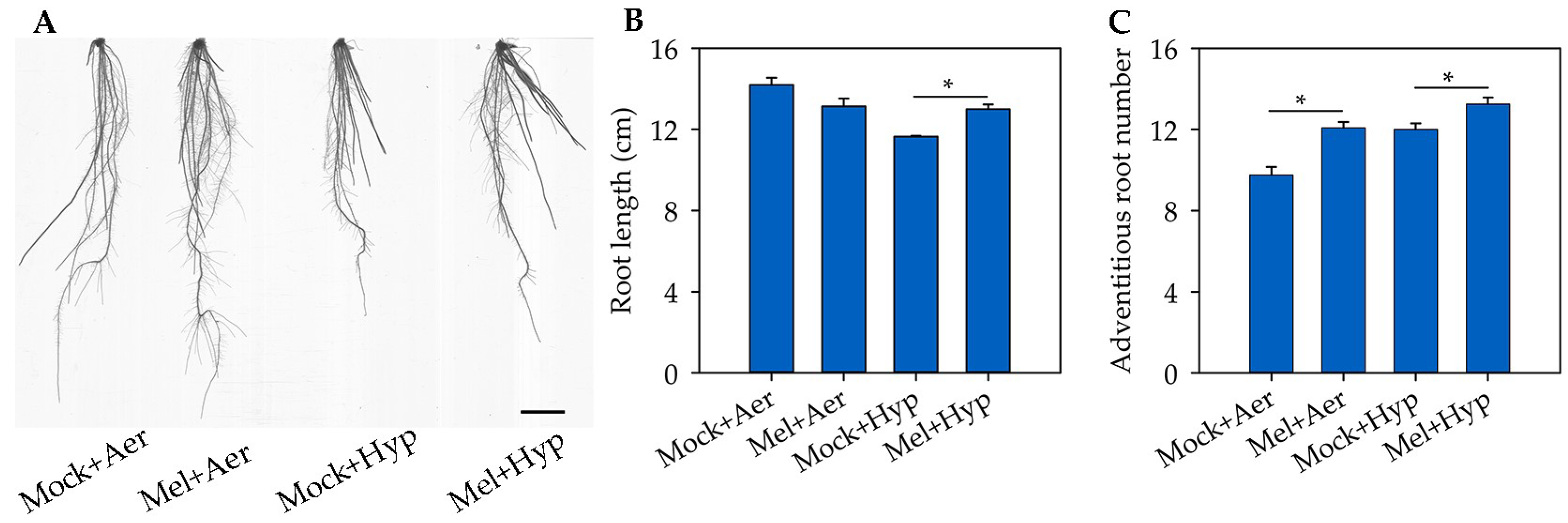 Agronomy 13 00386 g001