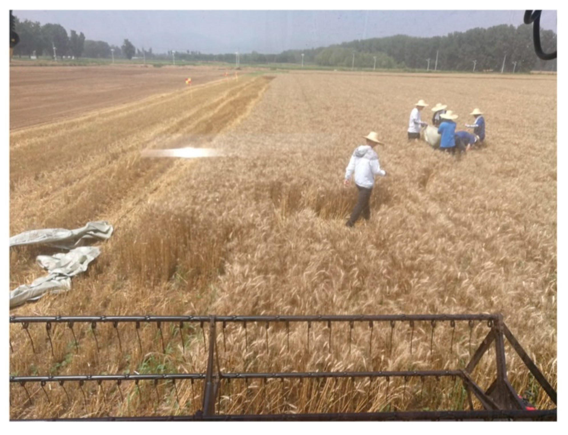 Agronomy 13 00388 g014 Agronomy 13 00388 g014