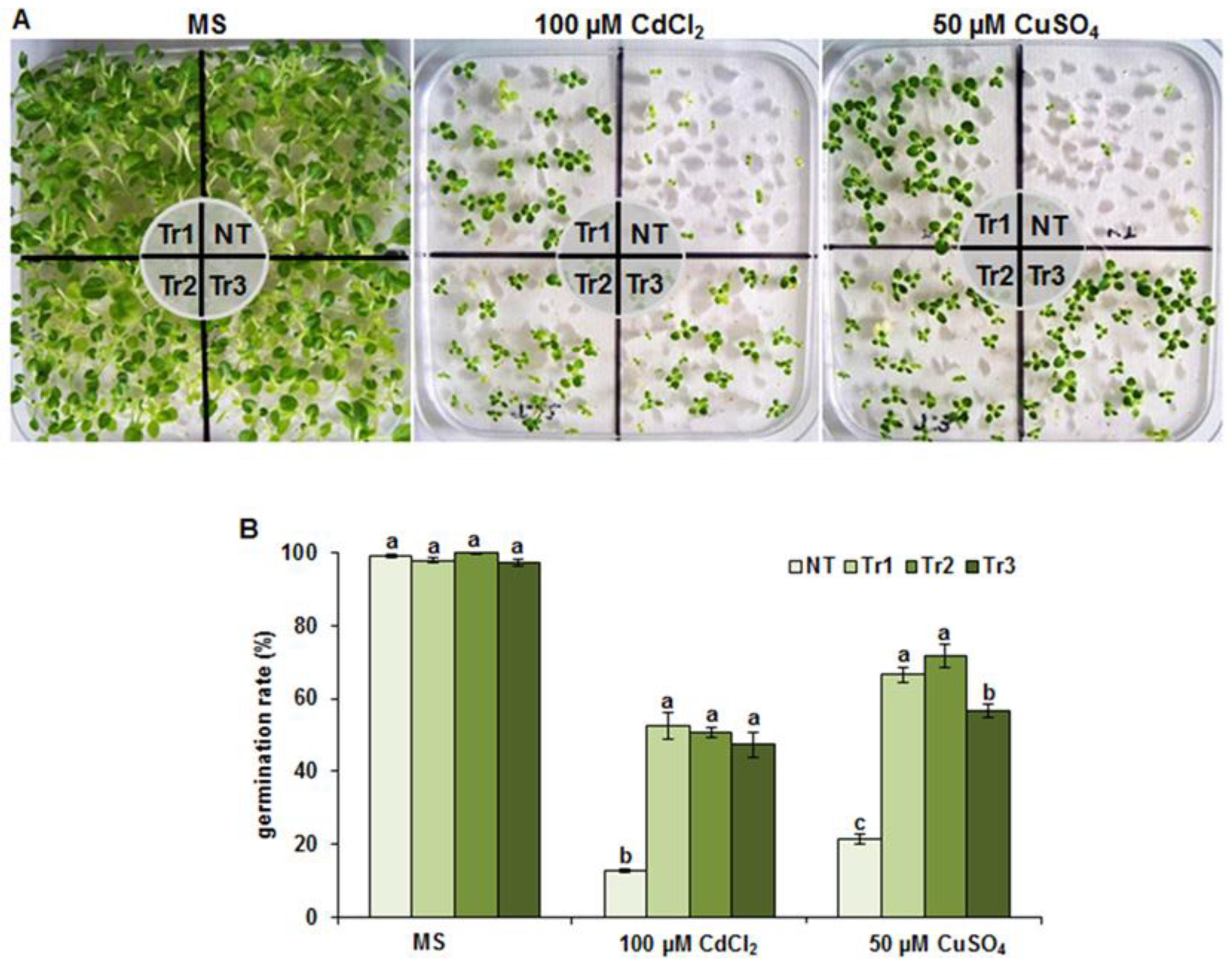 Agronomy 13 00399 g003