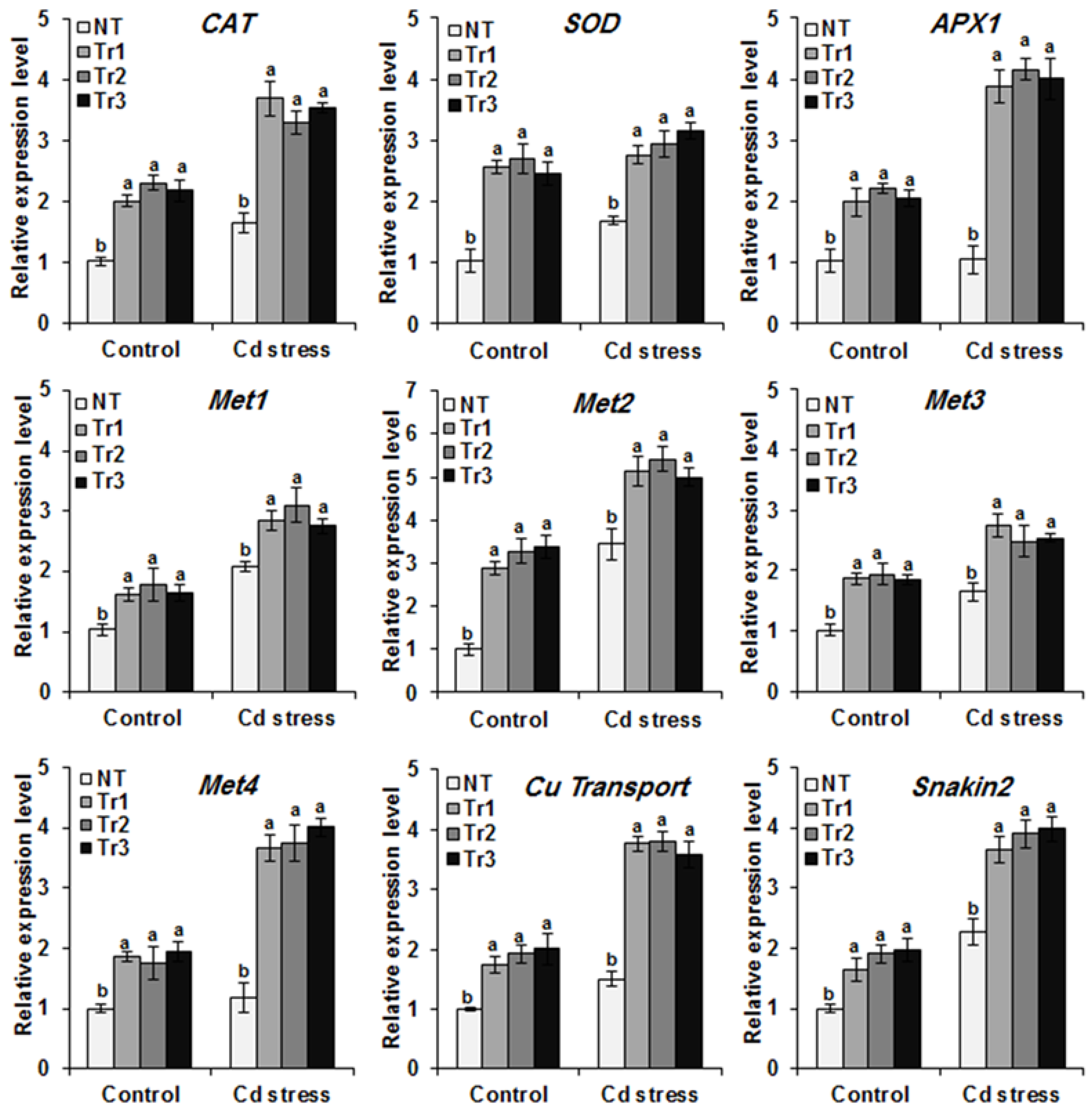Agronomy 13 00399 g007