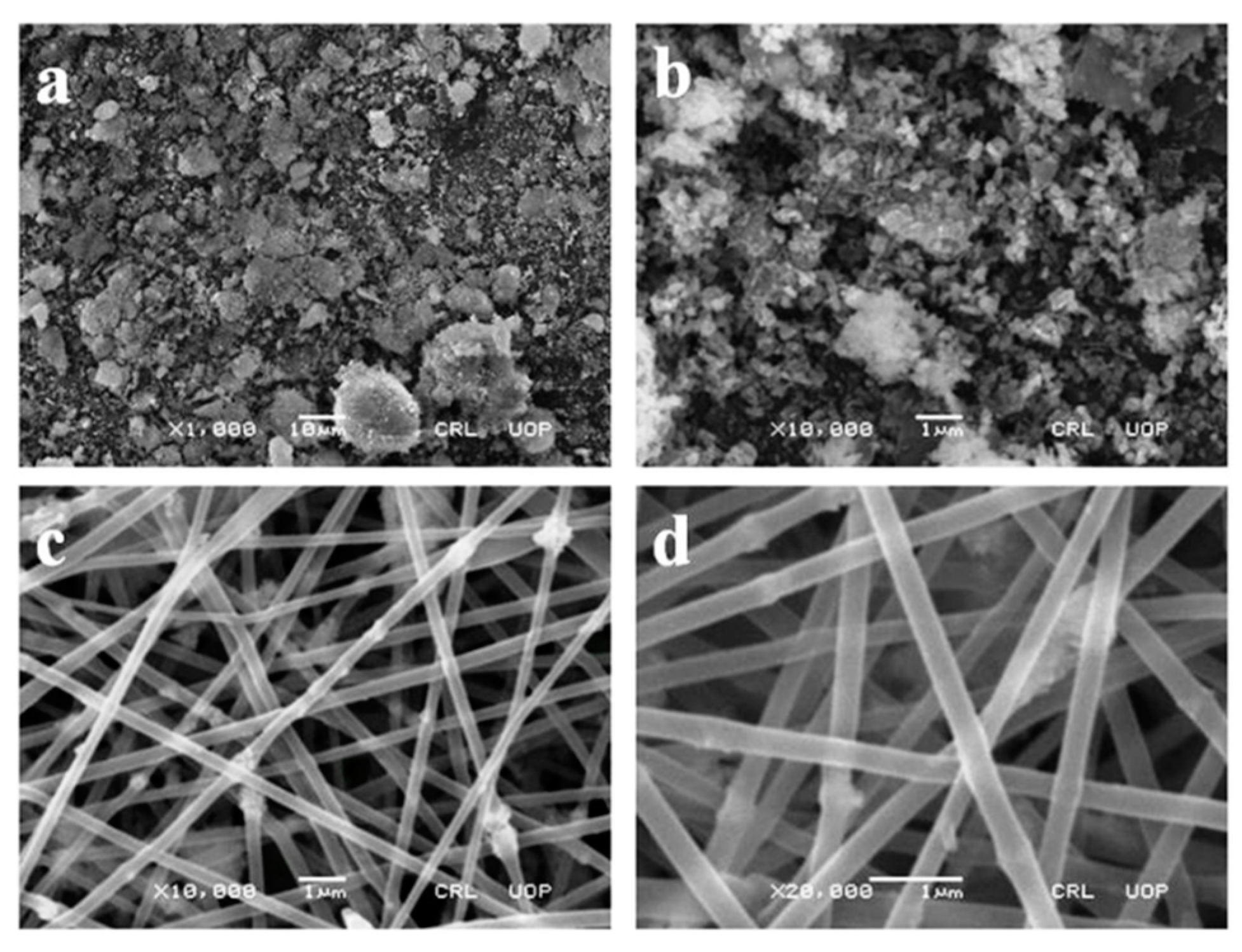 Agronomy 13 00400 g002