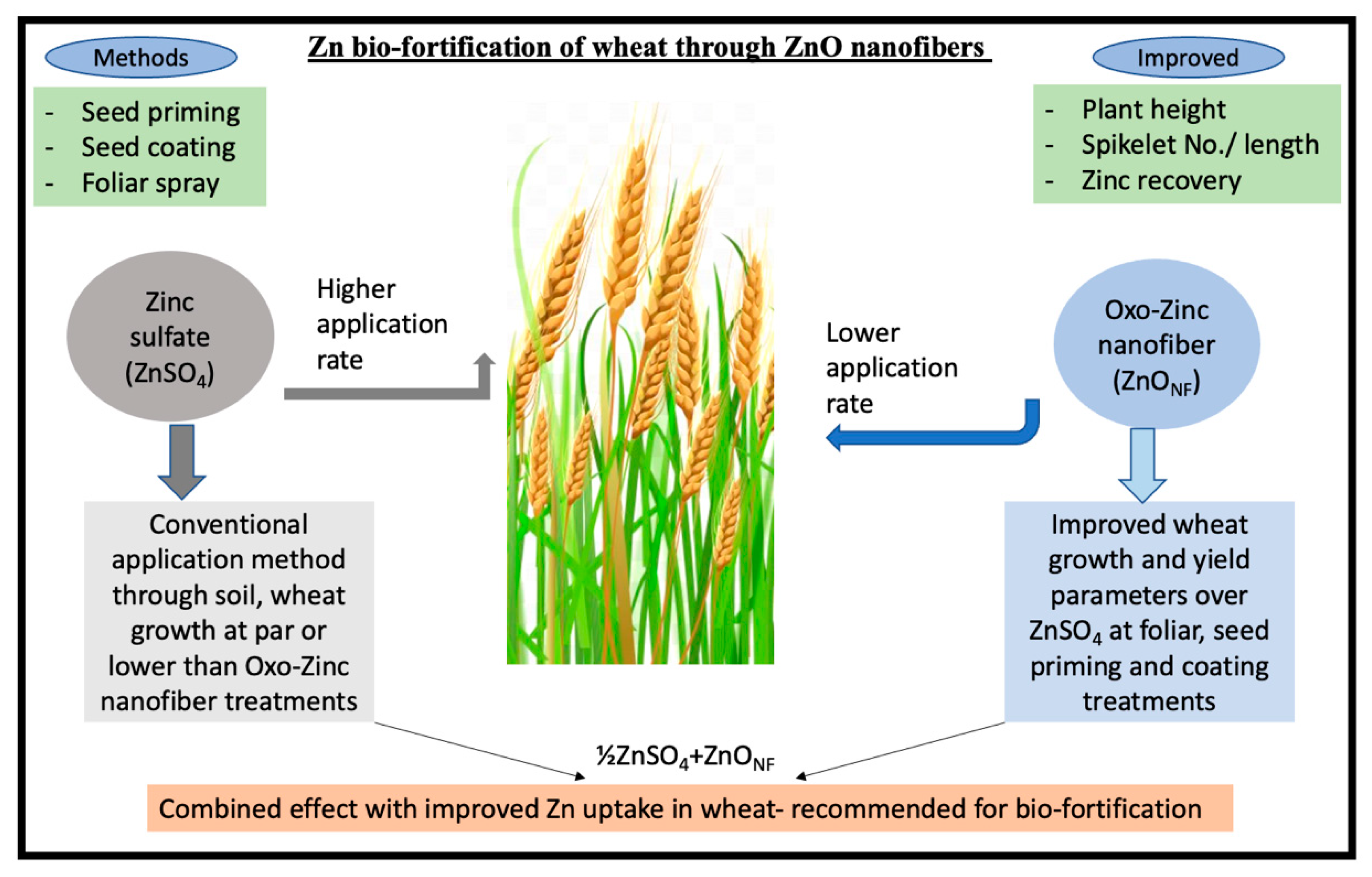 Agronomy 13 00400 g004