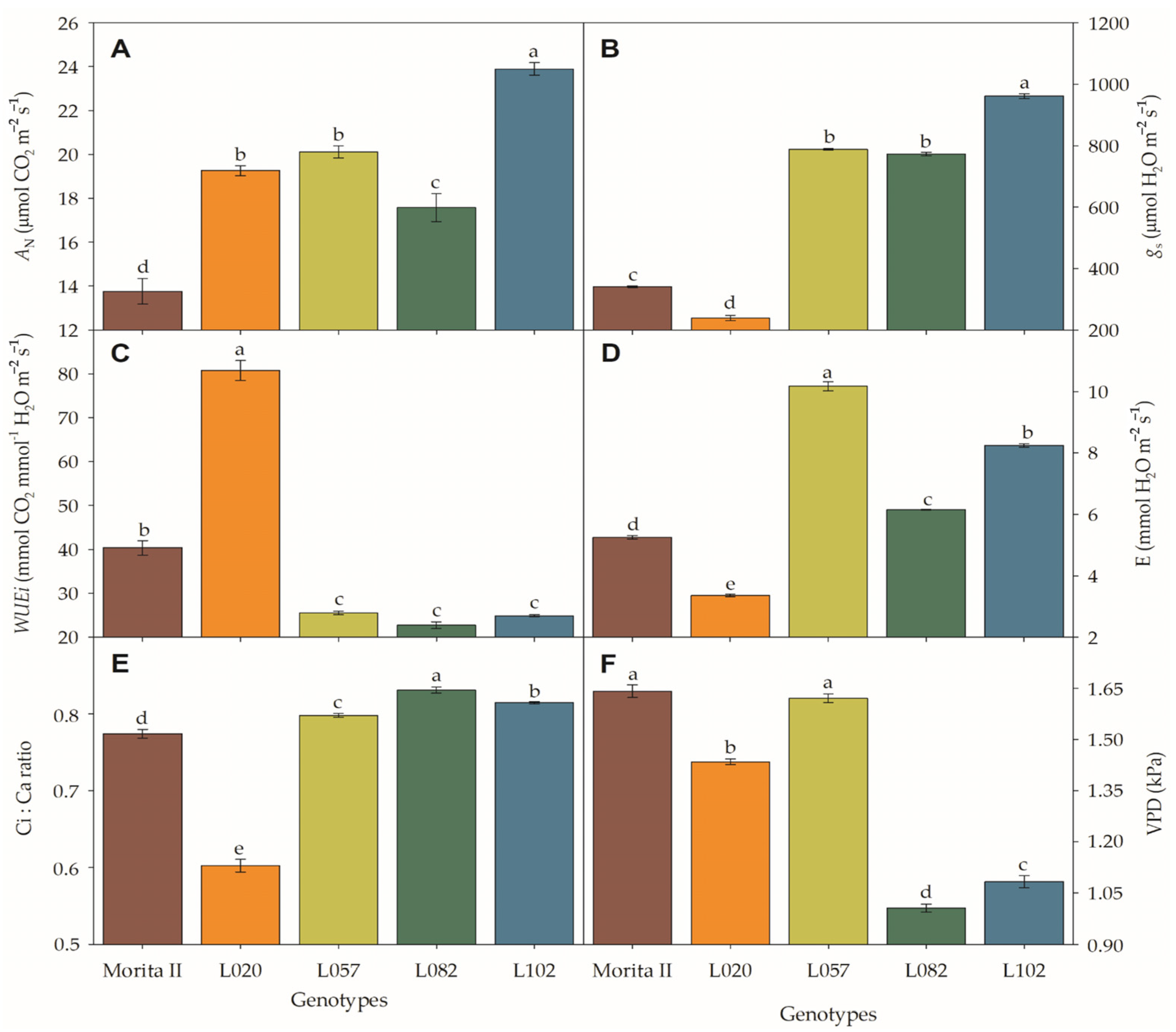 Agronomy 13 00403 g001 Agronomy 13 00403 g001