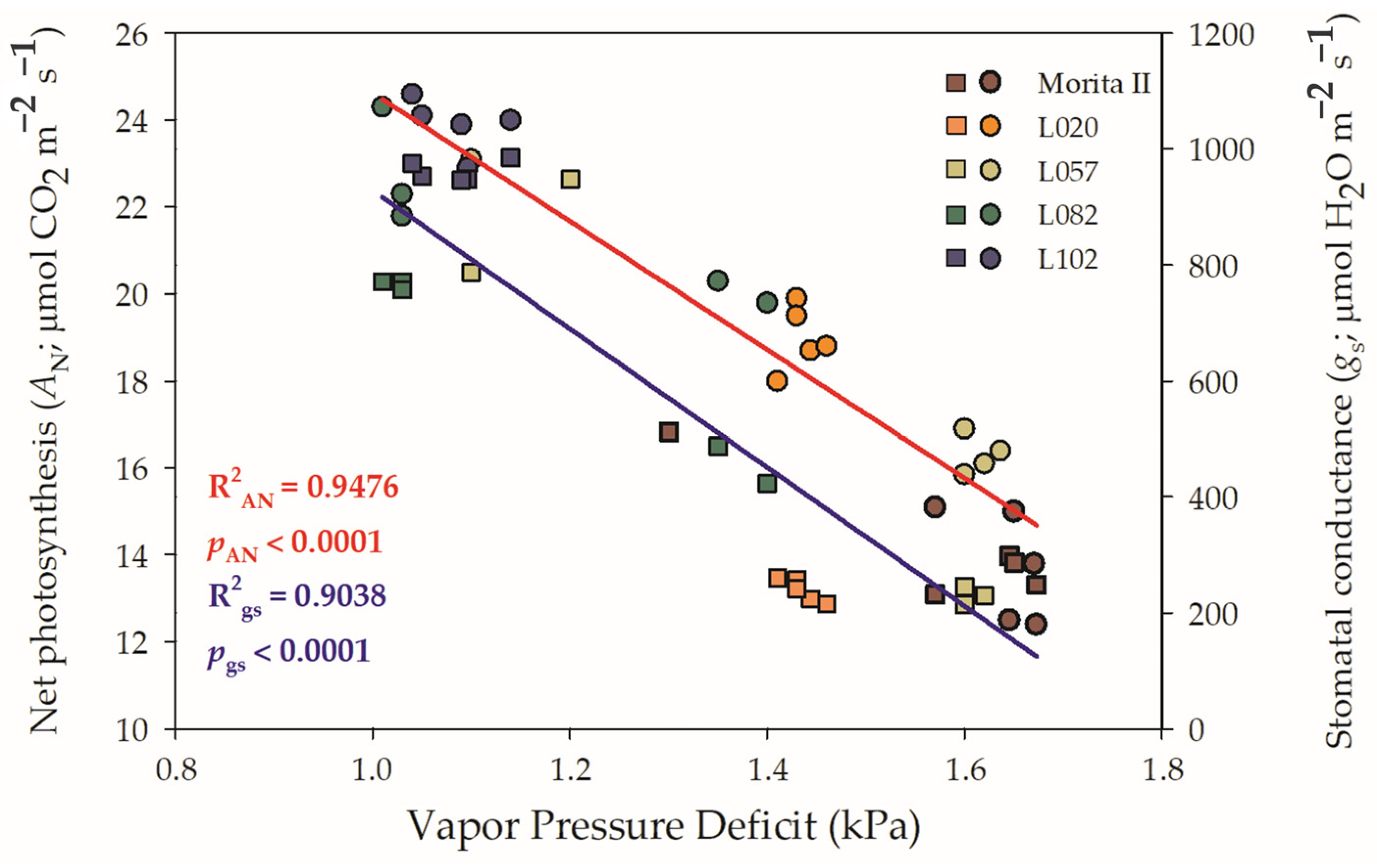 Agronomy 13 00403 g002 Agronomy 13 00403 g002
