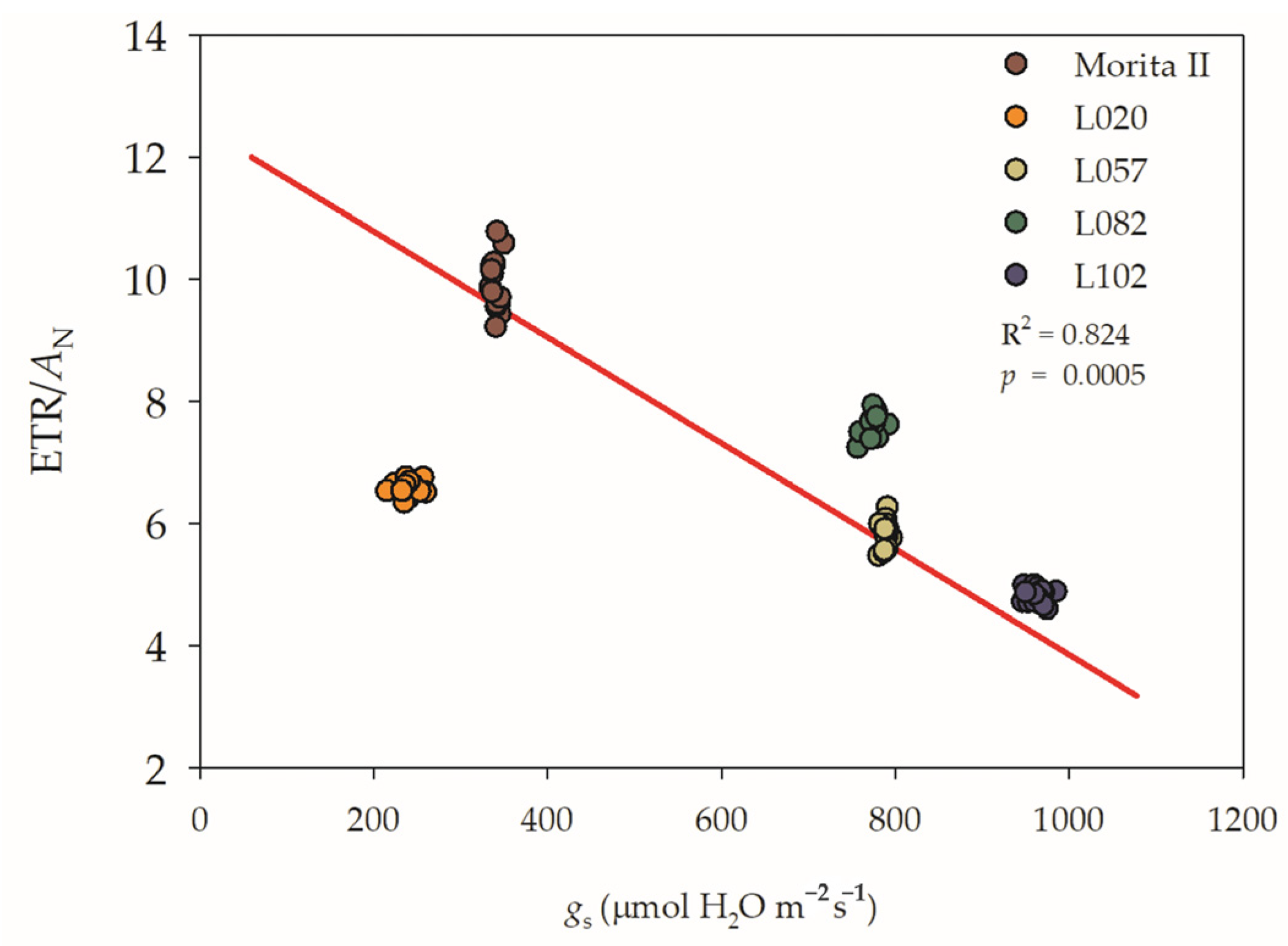 Agronomy 13 00403 g003 Agronomy 13 00403 g003