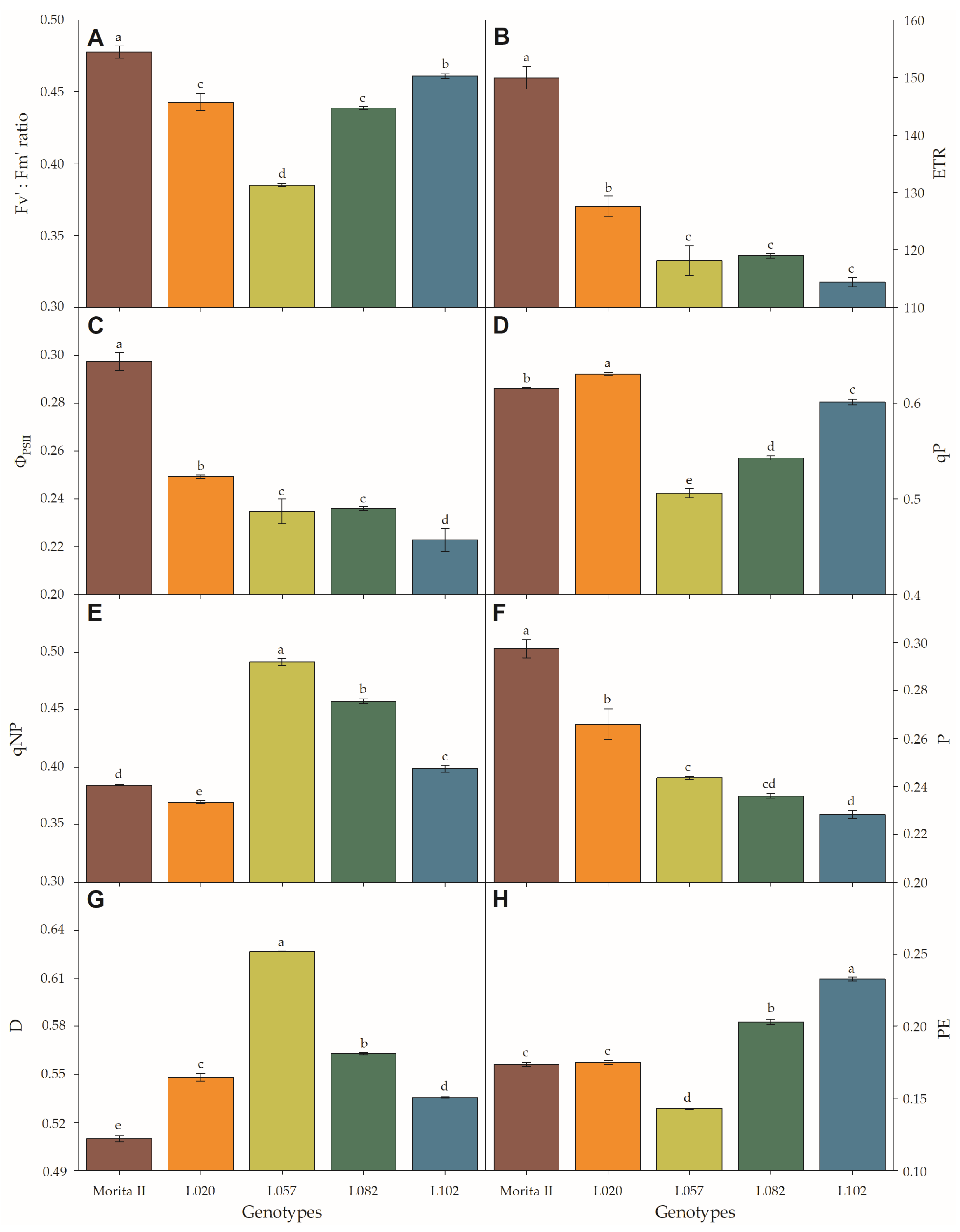 Agronomy 13 00403 g005 Agronomy 13 00403 g005