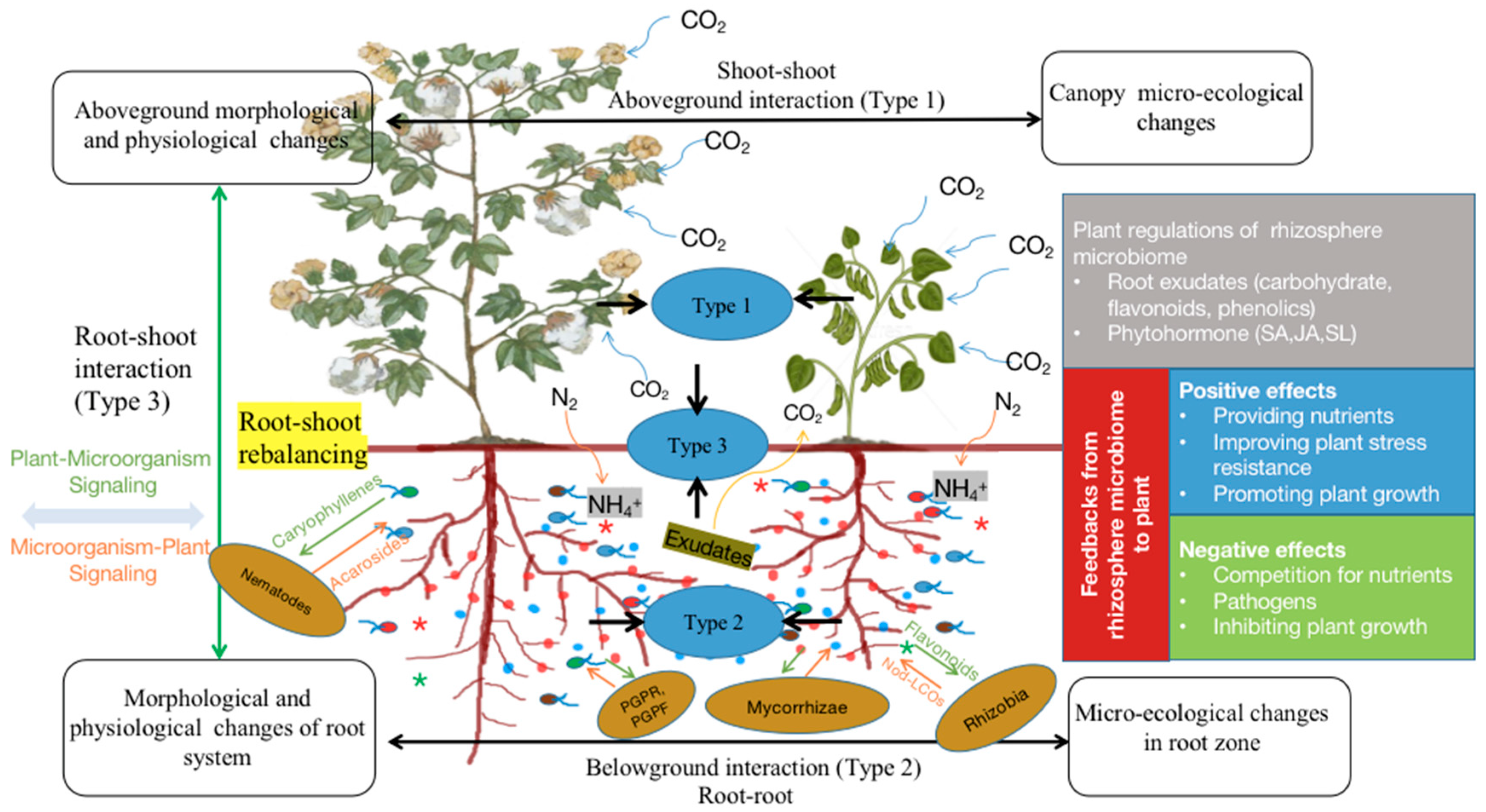 Agronomy 13 00413 g002