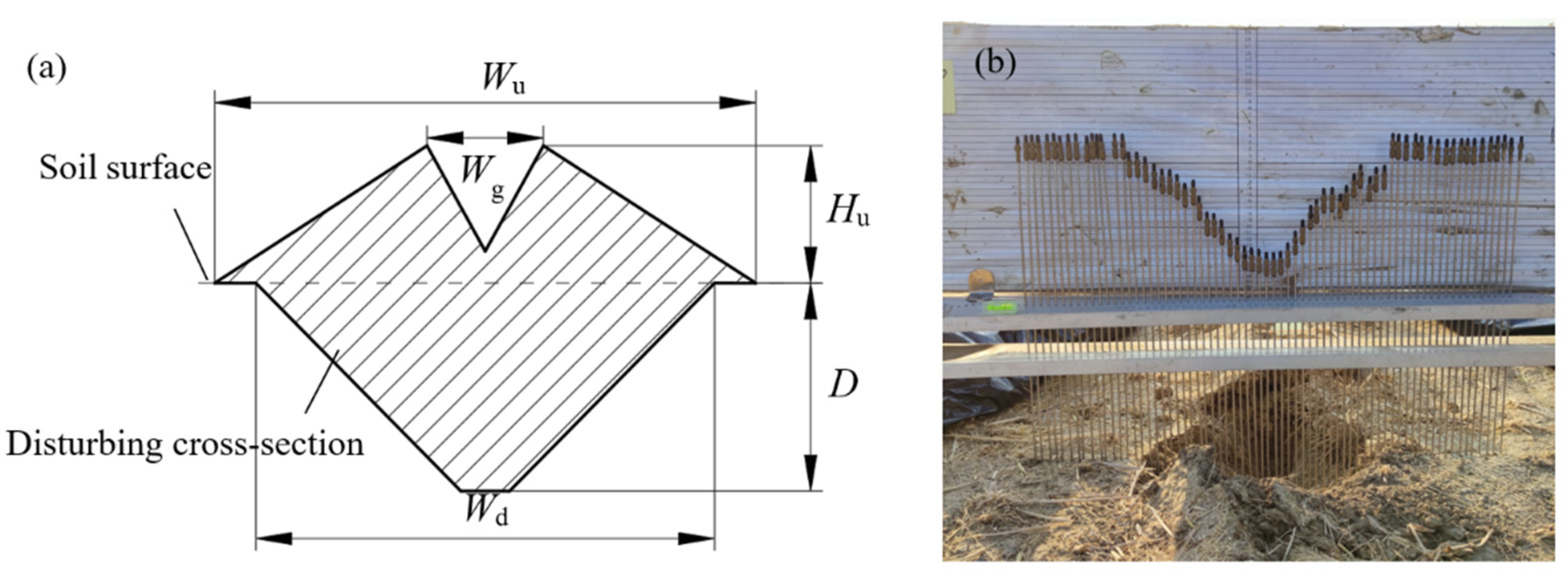 Agronomy 13 00418 g007