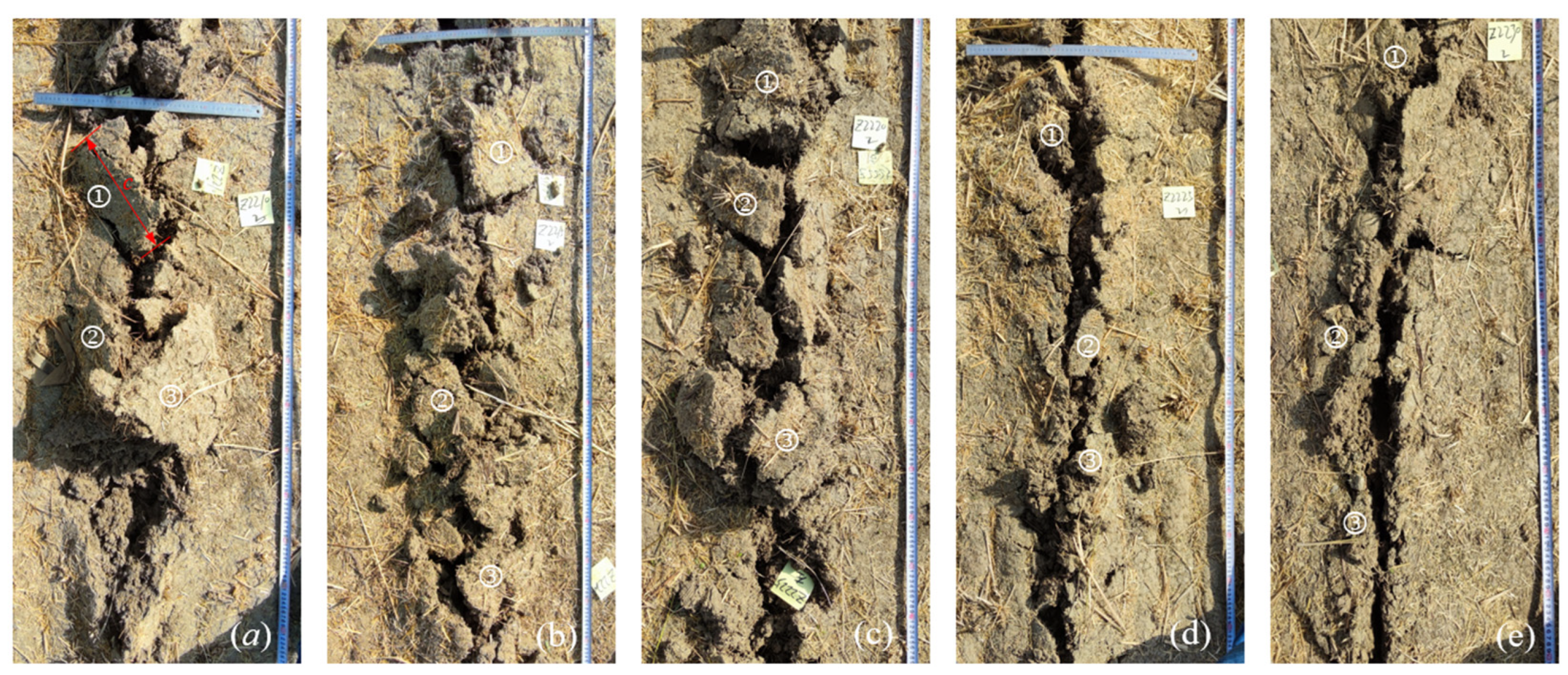 Agronomy 13 00418 g015