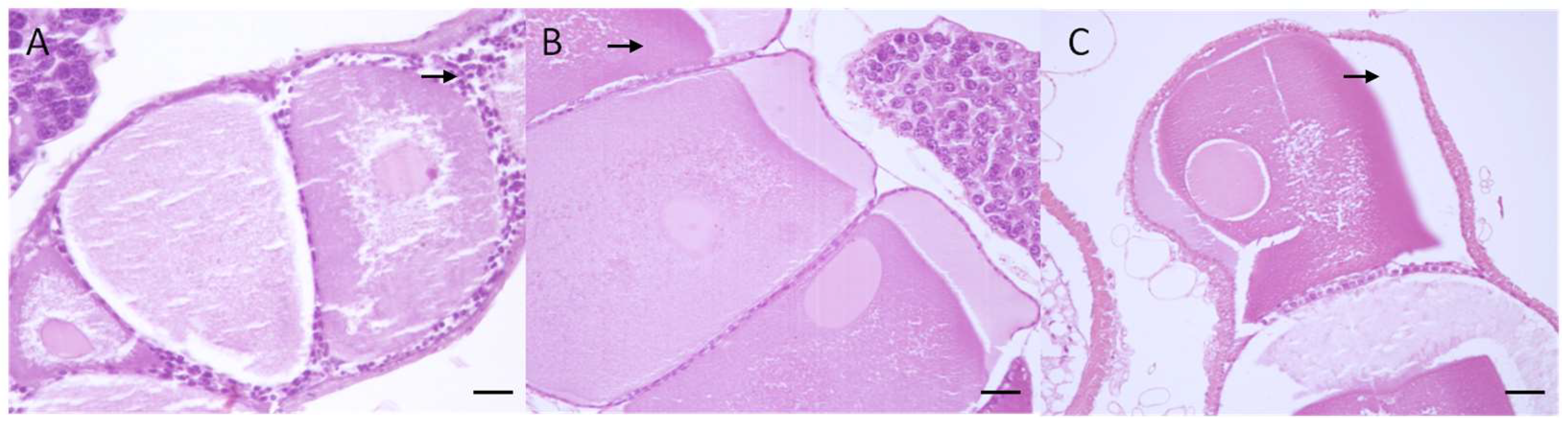 Agronomy 13 00420 g003