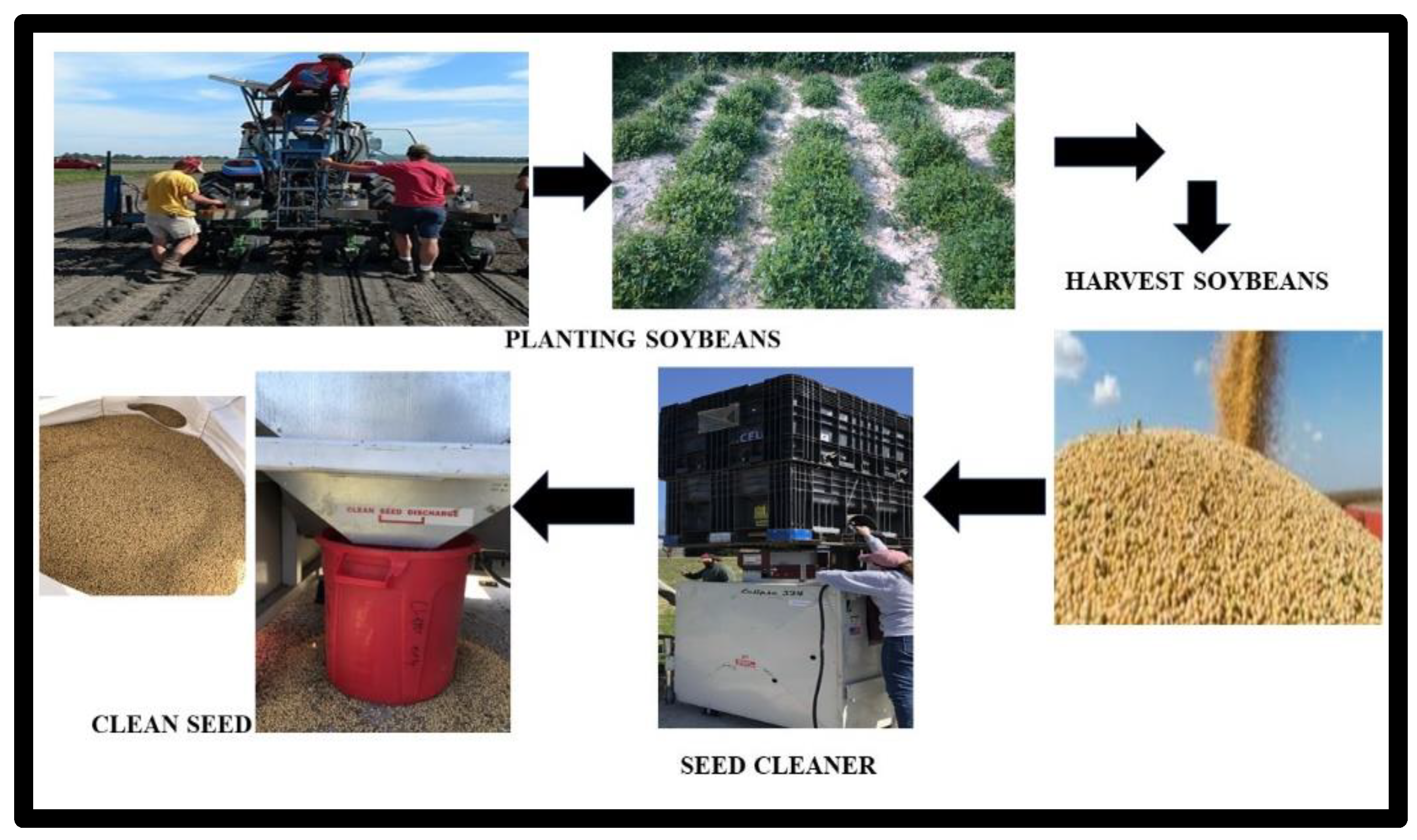 Agronomy 13 00427 g001