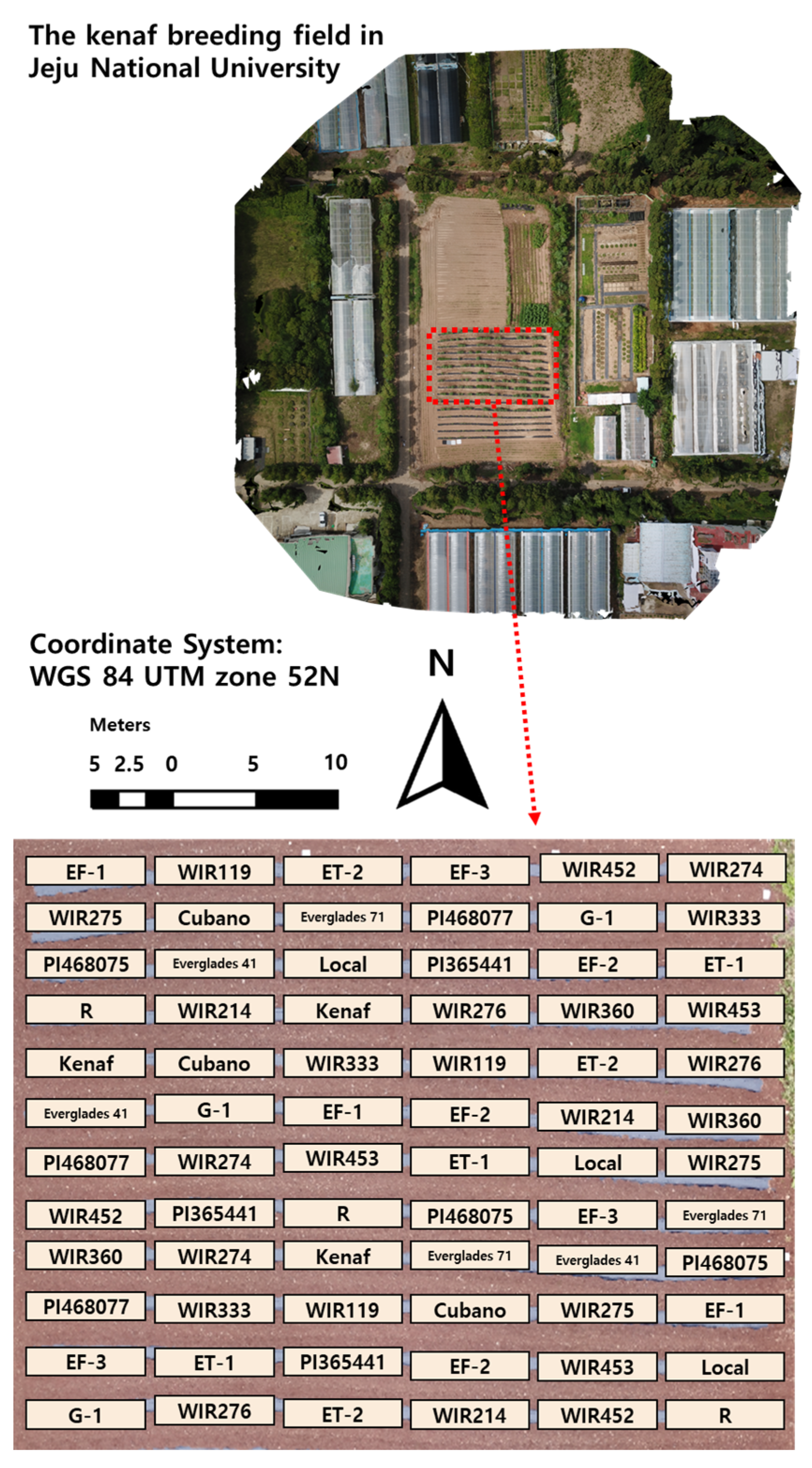 Agronomy 13 00428 g001