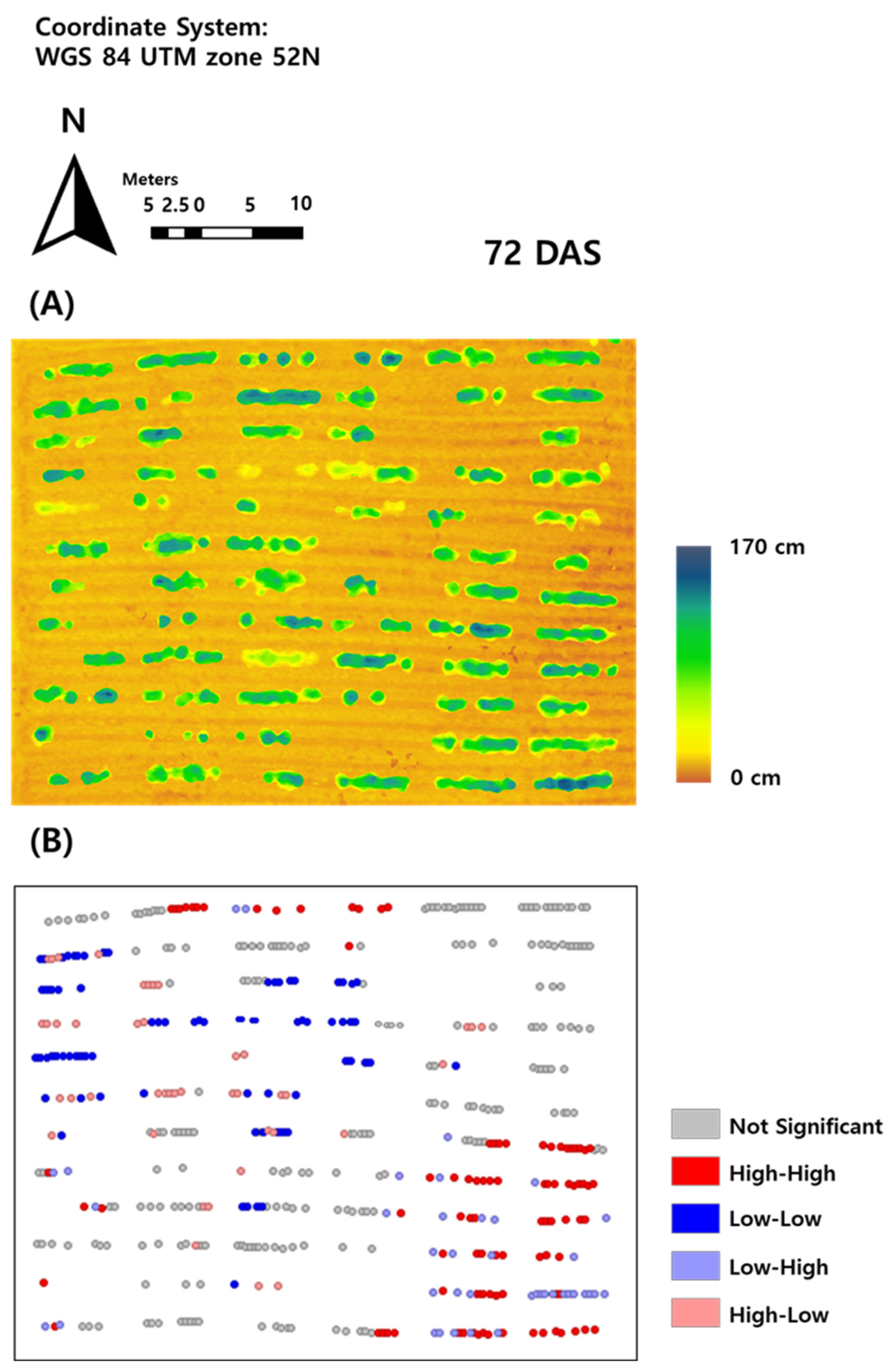 Agronomy 13 00428 g003
