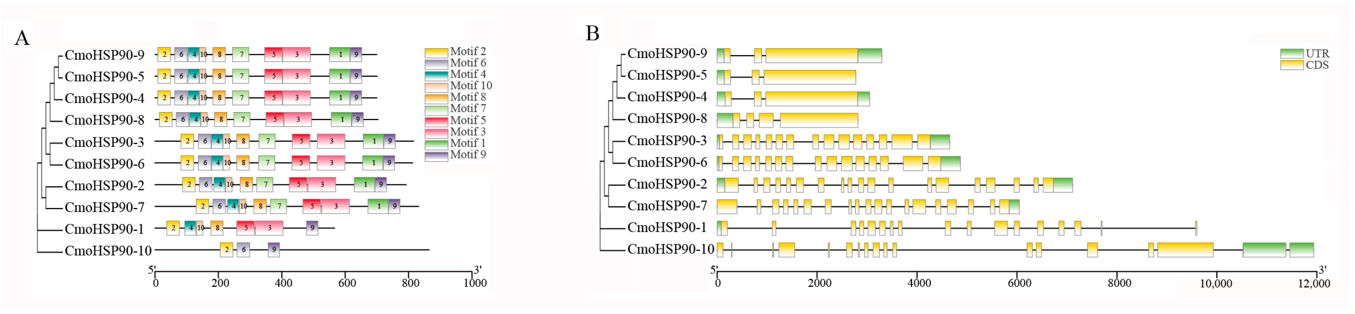 Agronomy 13 00430 g002