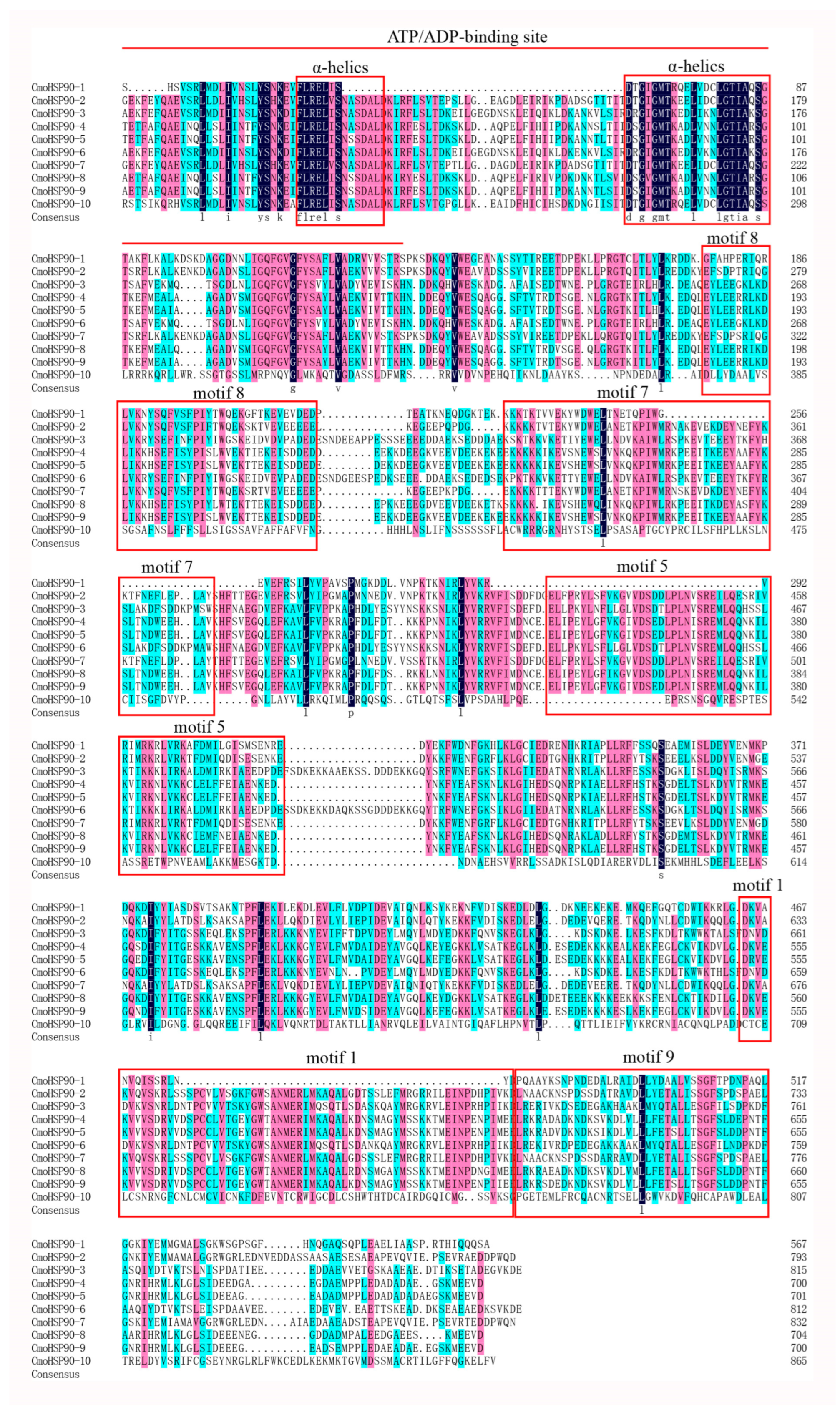 Agronomy 13 00430 g003