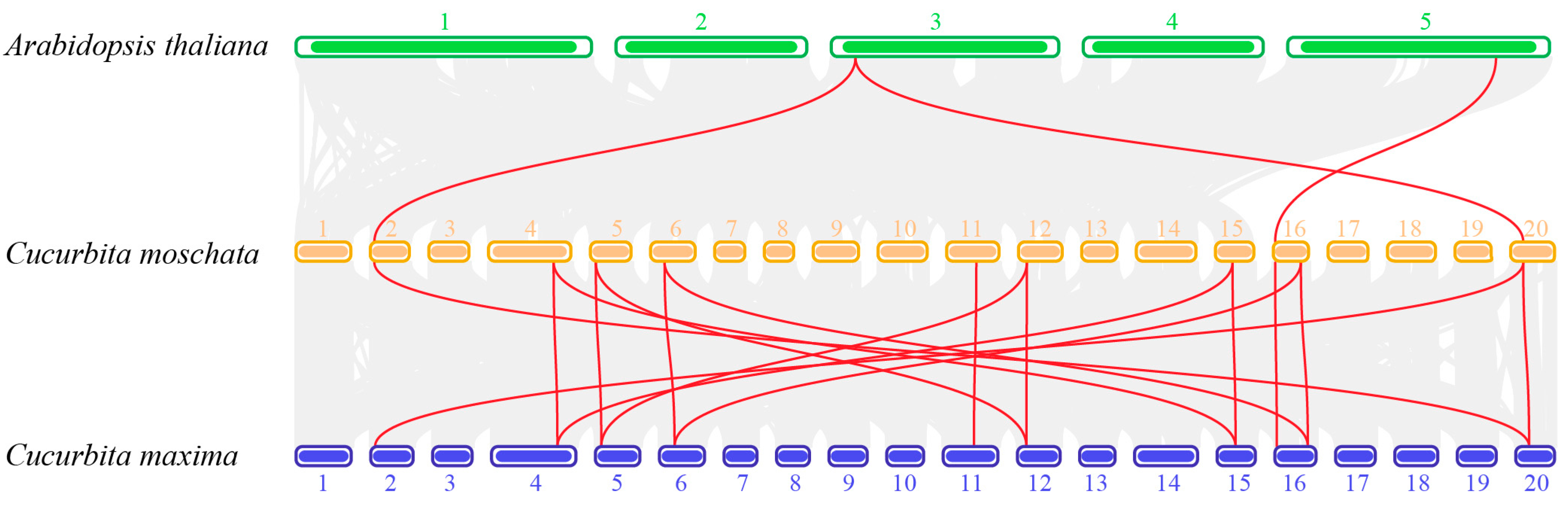 Agronomy 13 00430 g005