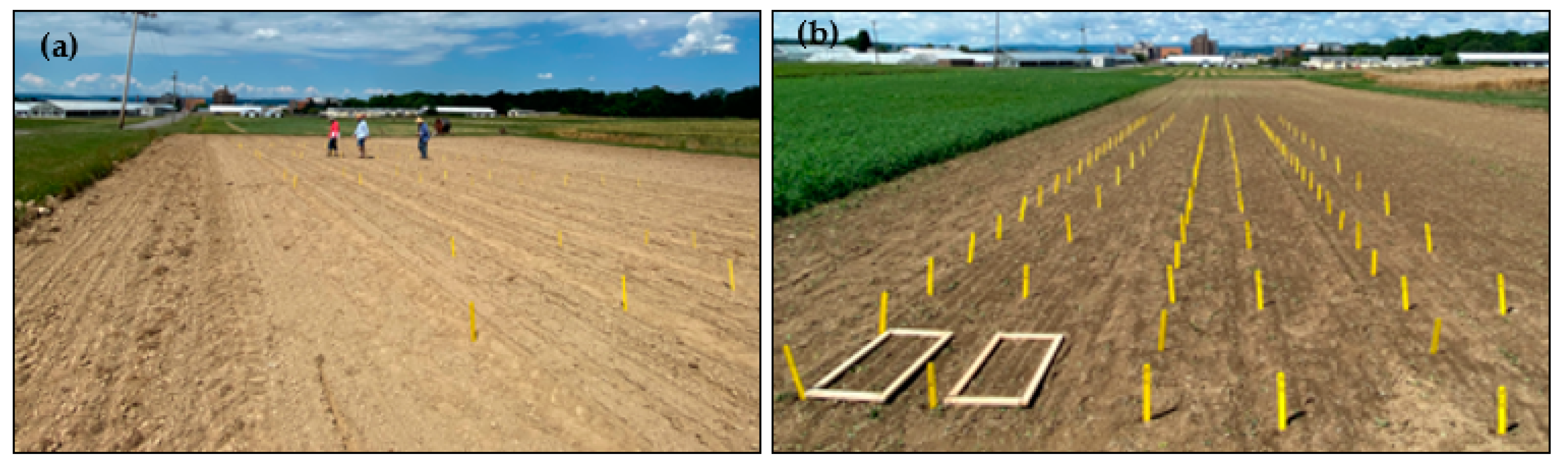 Agronomy 13 00438 g002