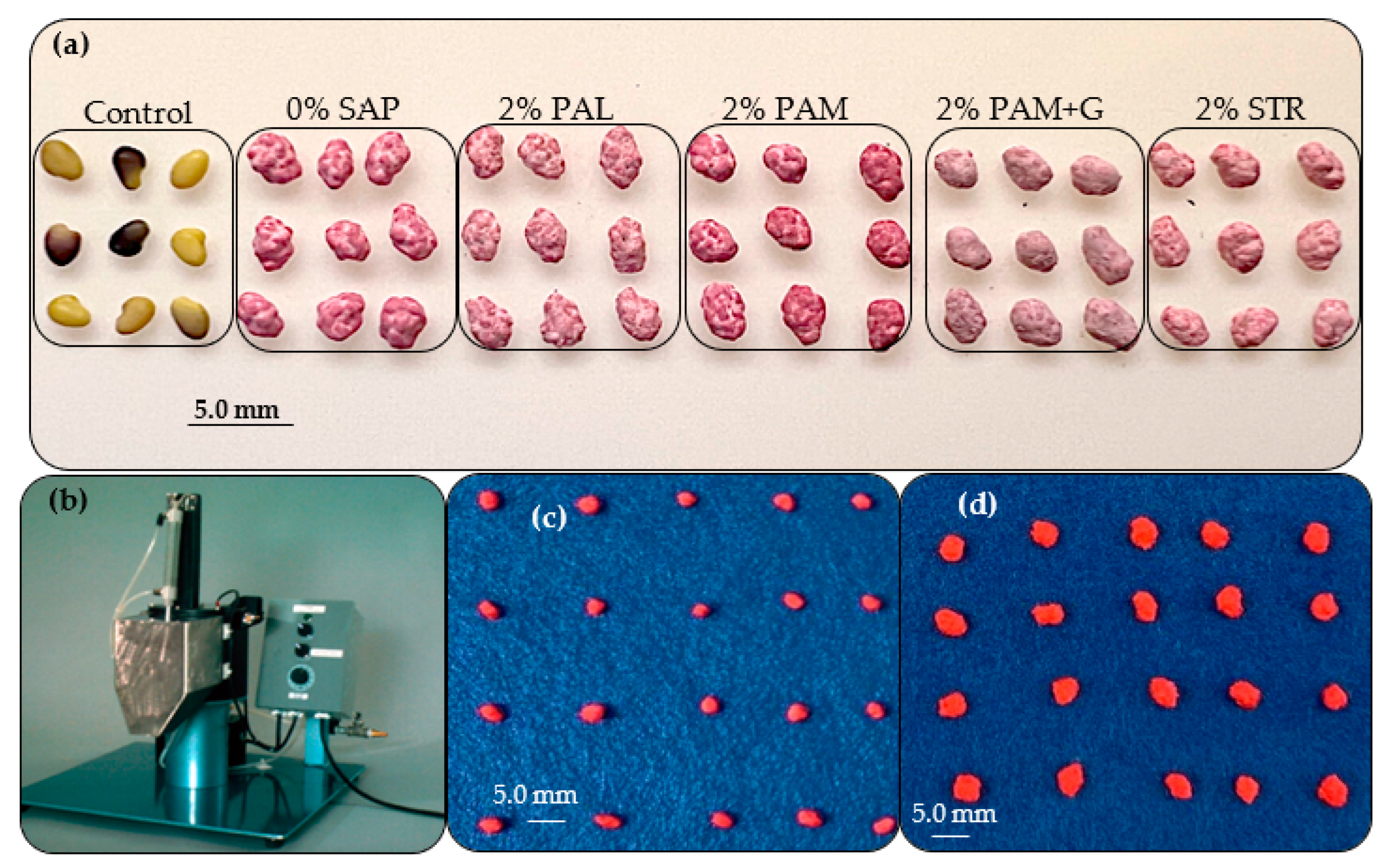 Agronomy 13 00438 g004