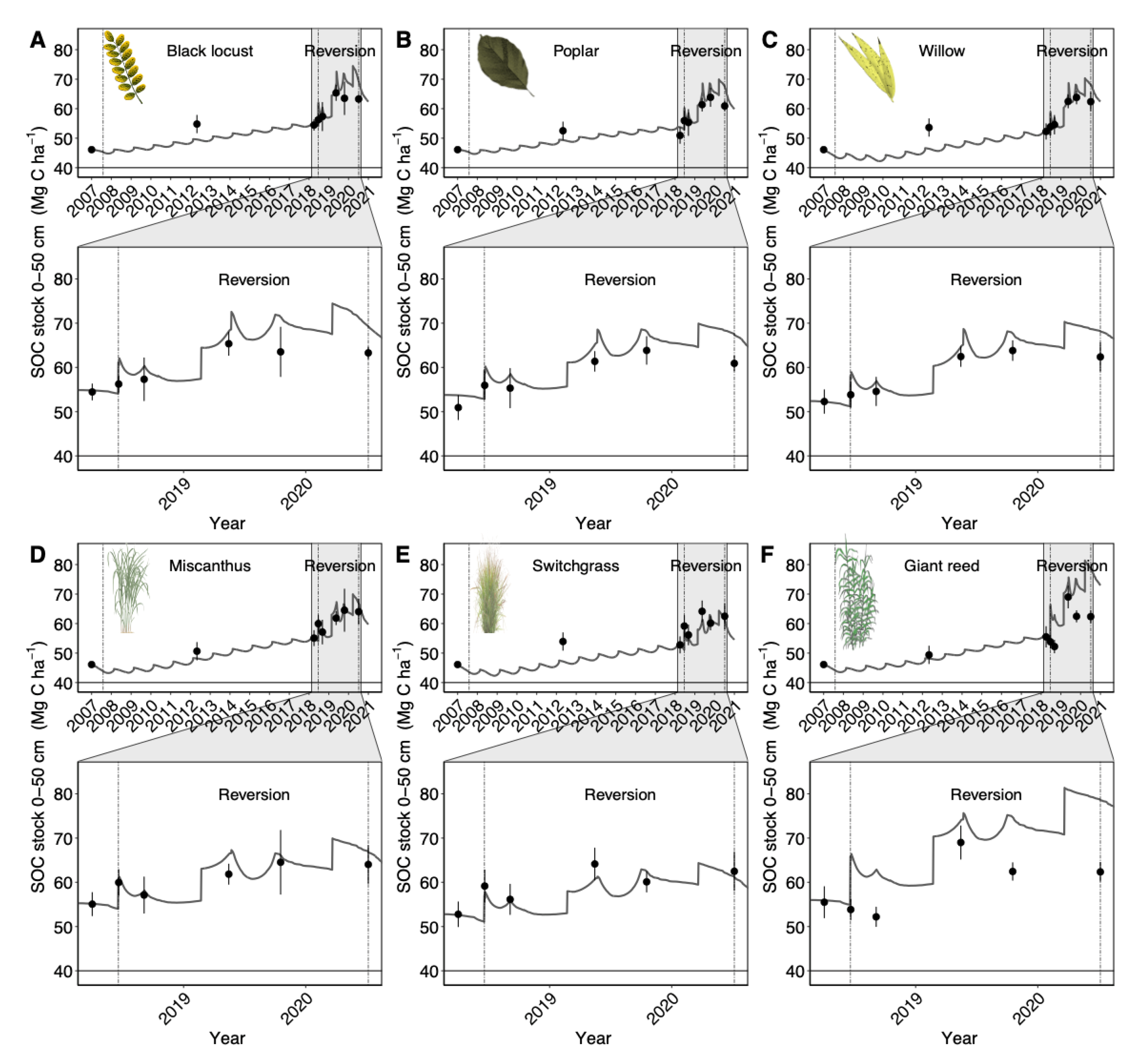 Agronomy 13 00447 g002