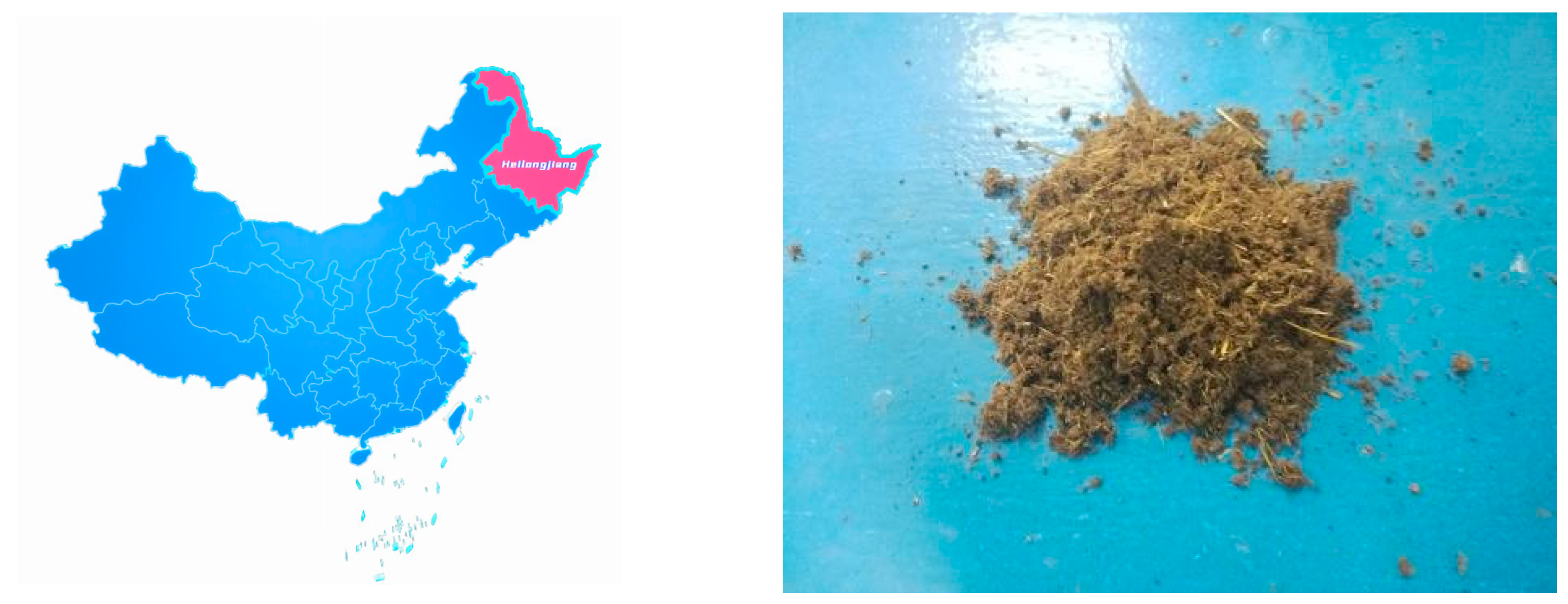 Agronomy 13 00453 g001