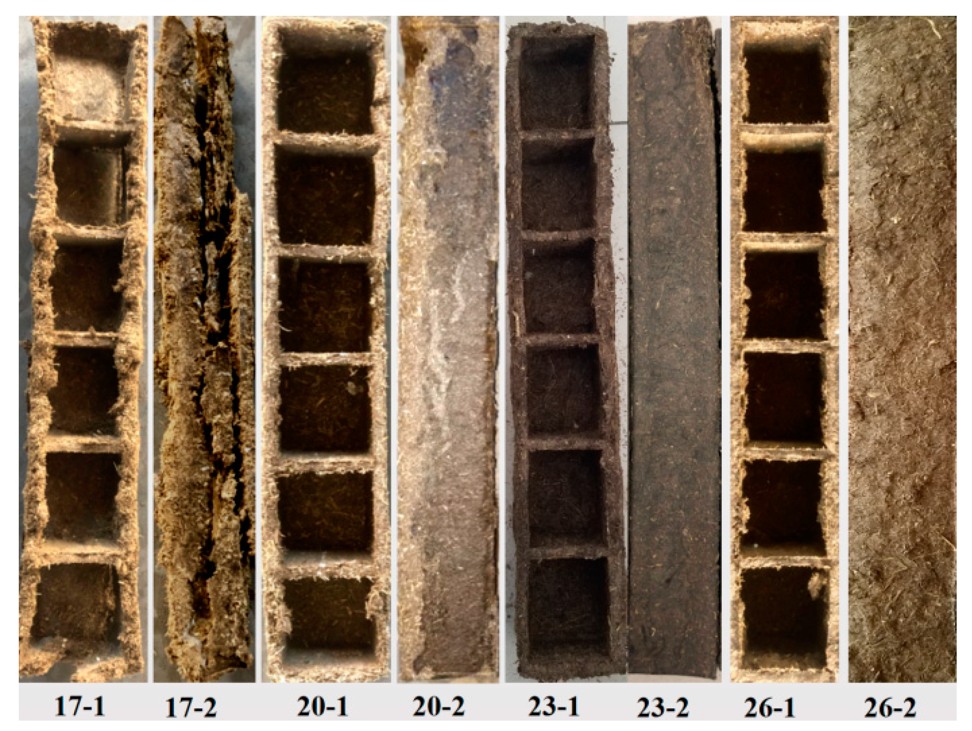 Agronomy 13 00453 g006